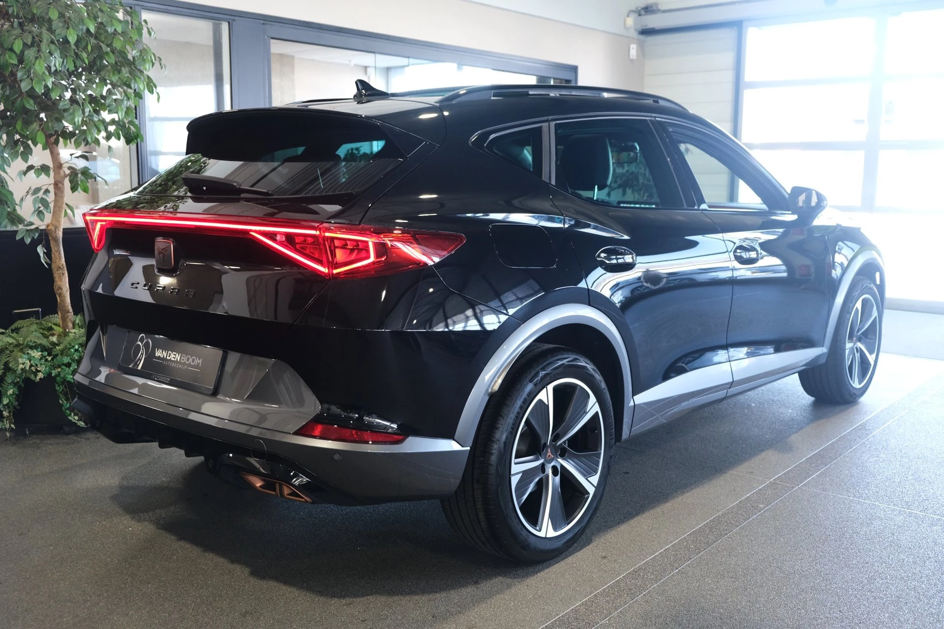 Hoofdafbeelding CUPRA Formentor