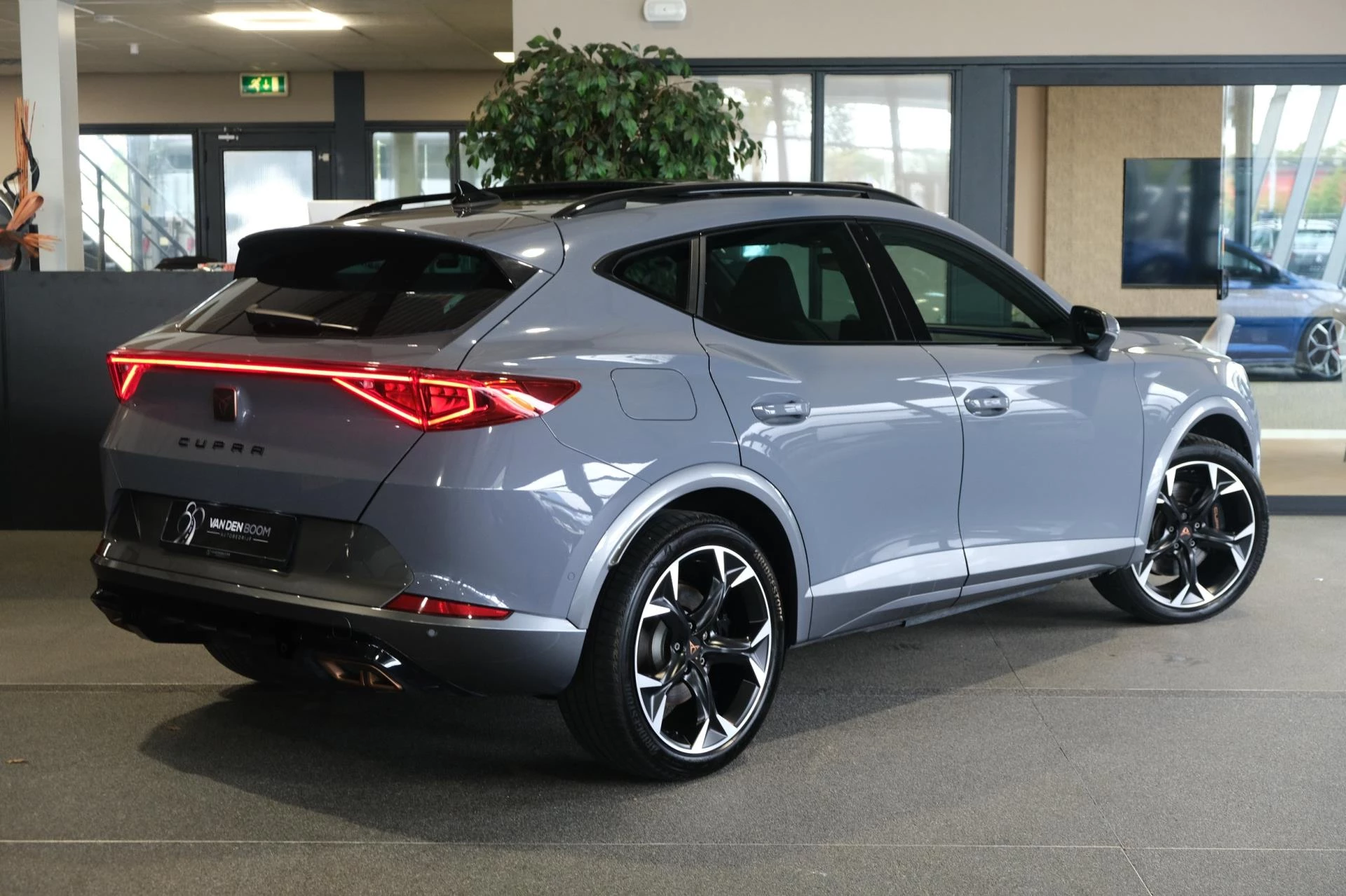 Hoofdafbeelding CUPRA Formentor