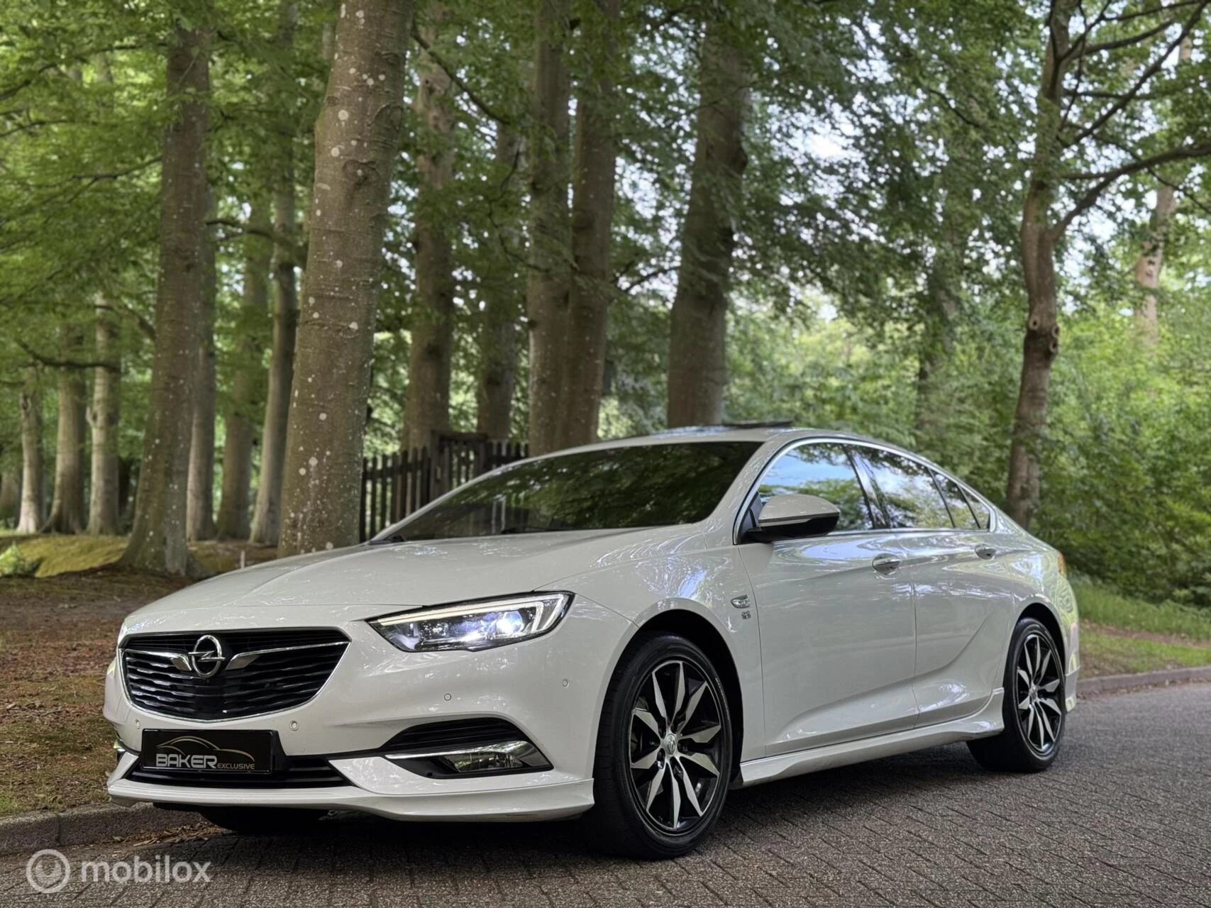 Hoofdafbeelding Opel Insignia