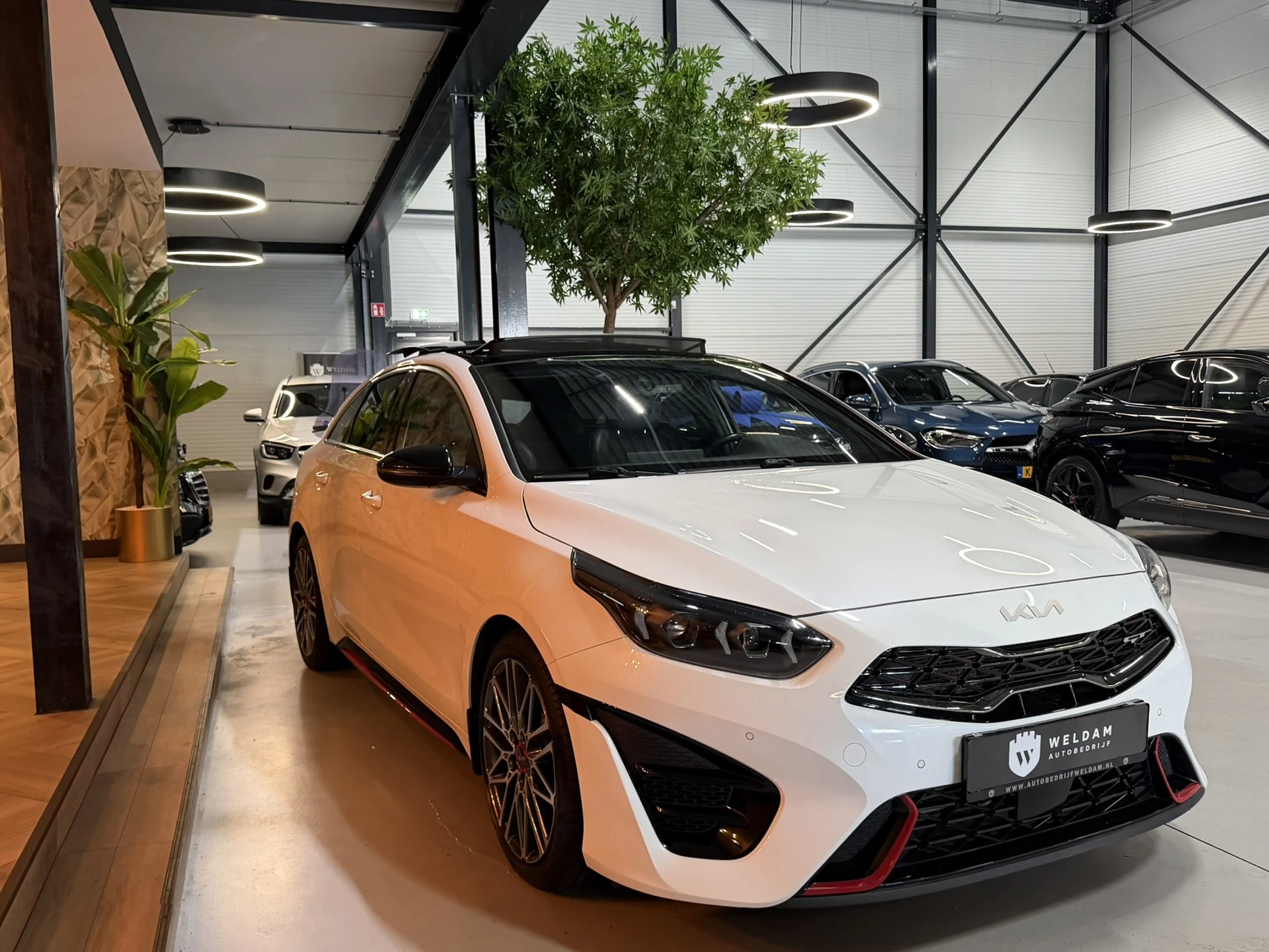 Hoofdafbeelding Kia ProCeed