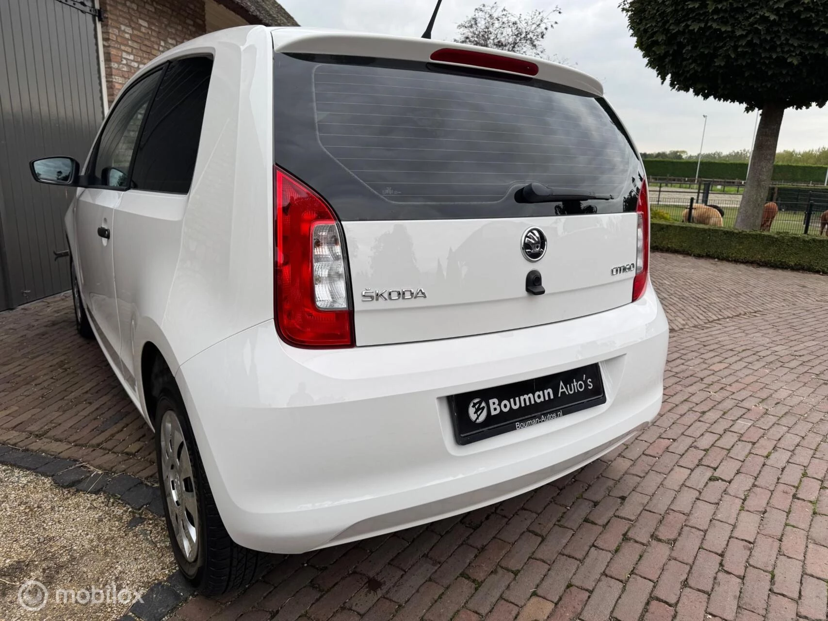Hoofdafbeelding Škoda Citigo