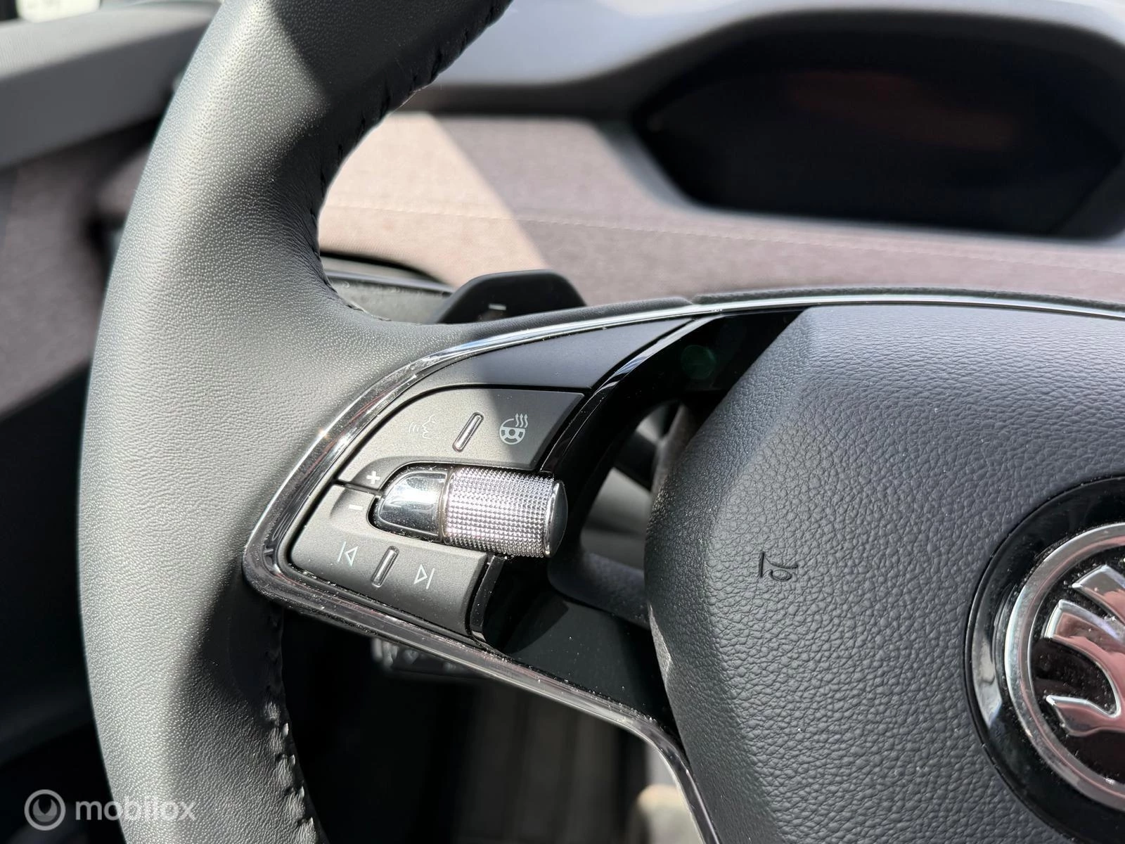 Hoofdafbeelding Škoda Enyaq iV