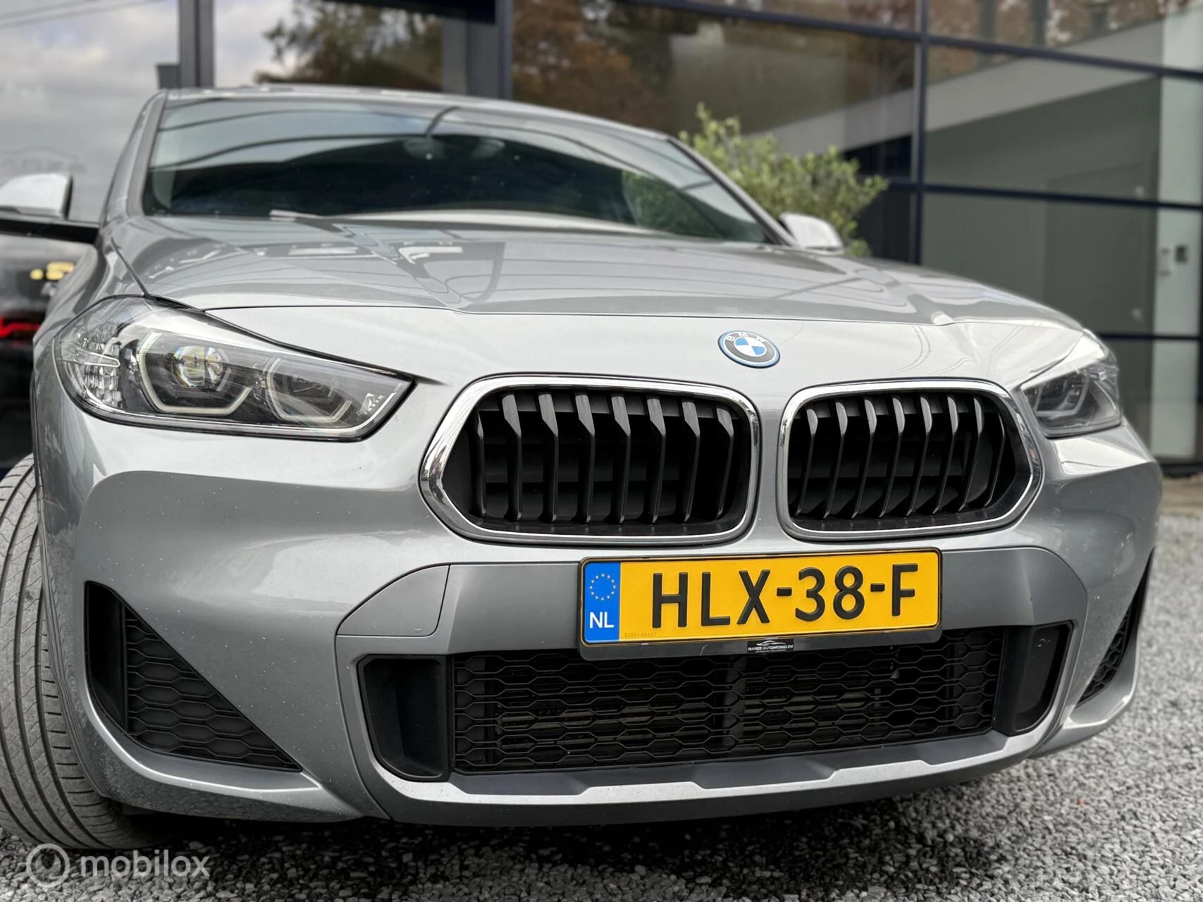 Hoofdafbeelding BMW X2