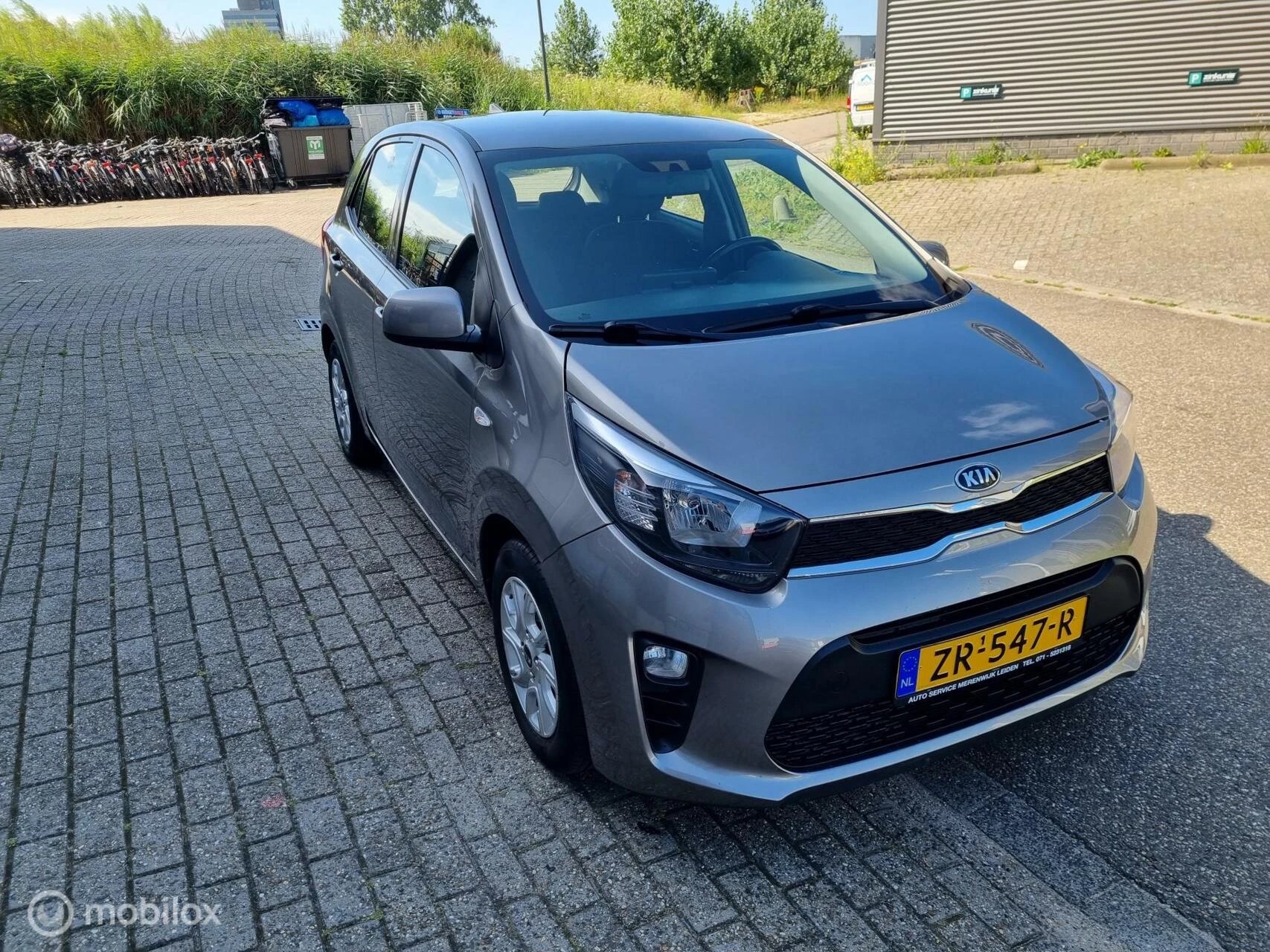 Hoofdafbeelding Kia Picanto