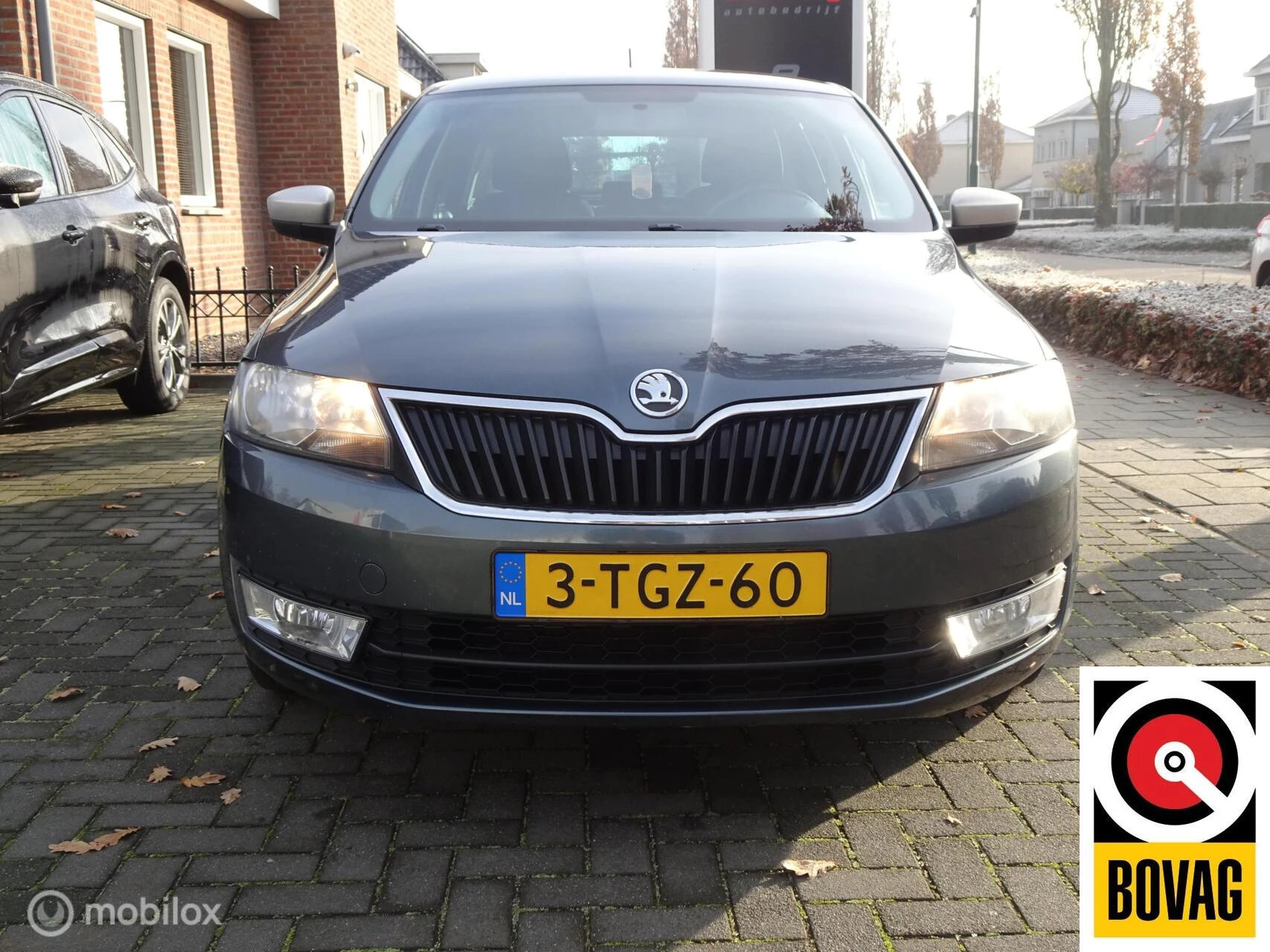 Hoofdafbeelding Škoda Rapid