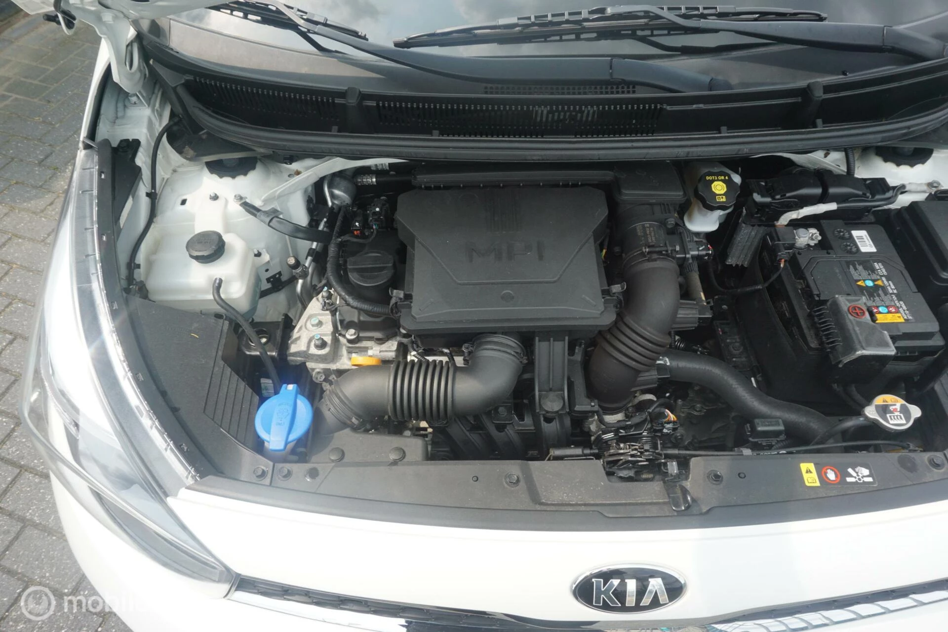 Hoofdafbeelding Kia Picanto