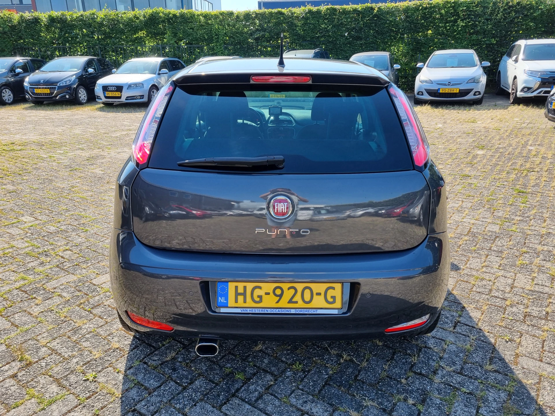 Hoofdafbeelding Fiat Punto