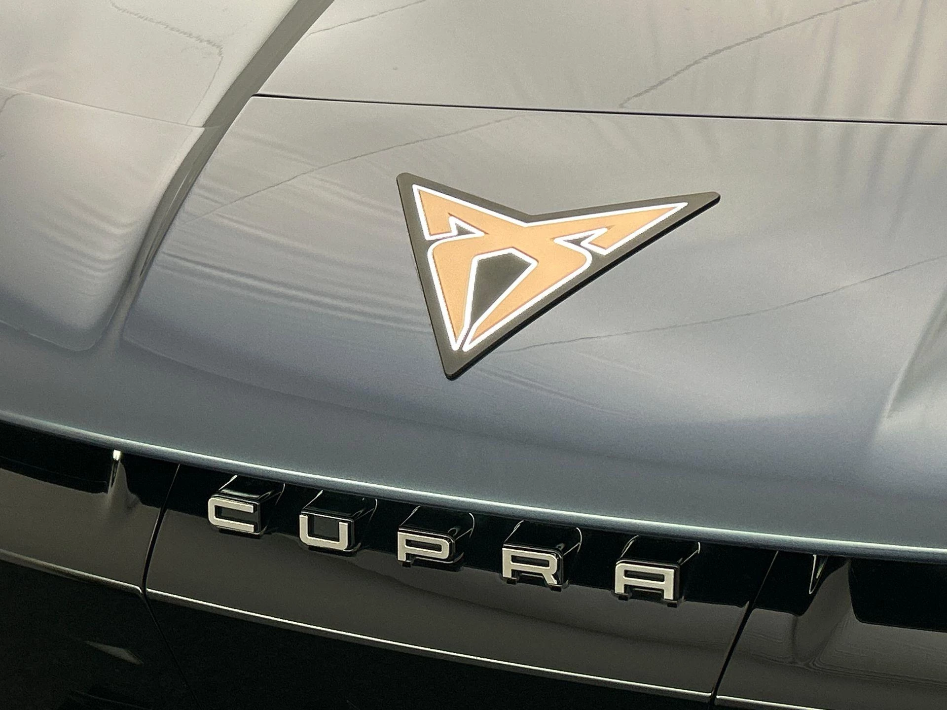 Hoofdafbeelding CUPRA Tavascan