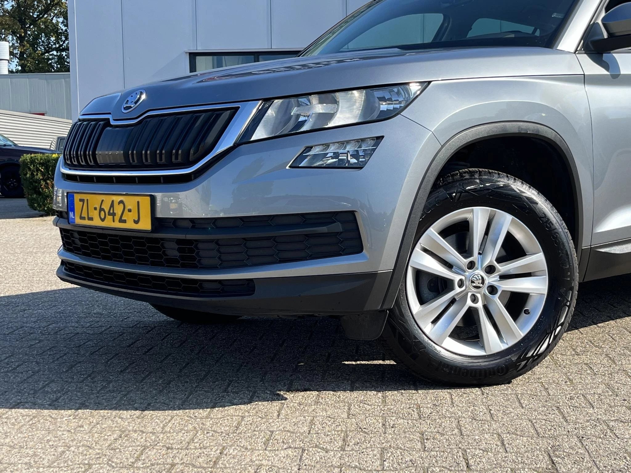 Hoofdafbeelding Škoda Kodiaq