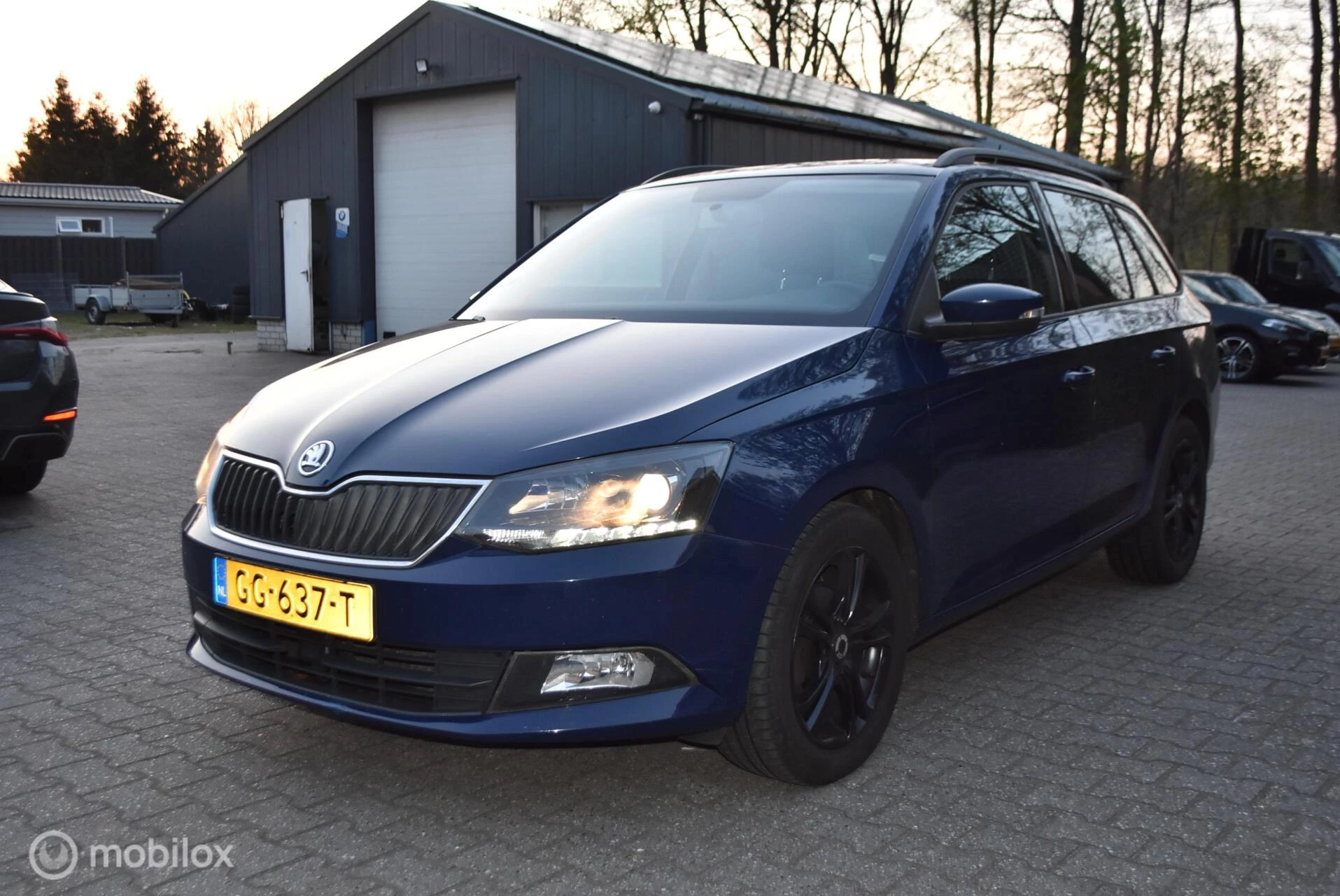 Hoofdafbeelding Škoda Fabia