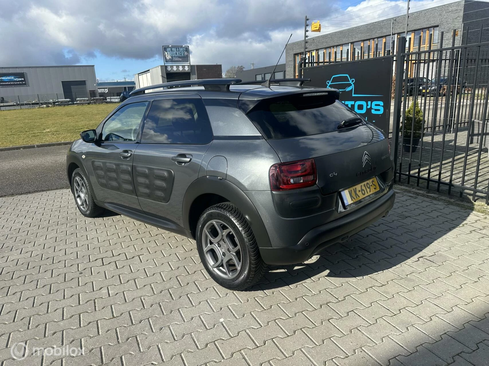 Hoofdafbeelding Citroën C4 Cactus