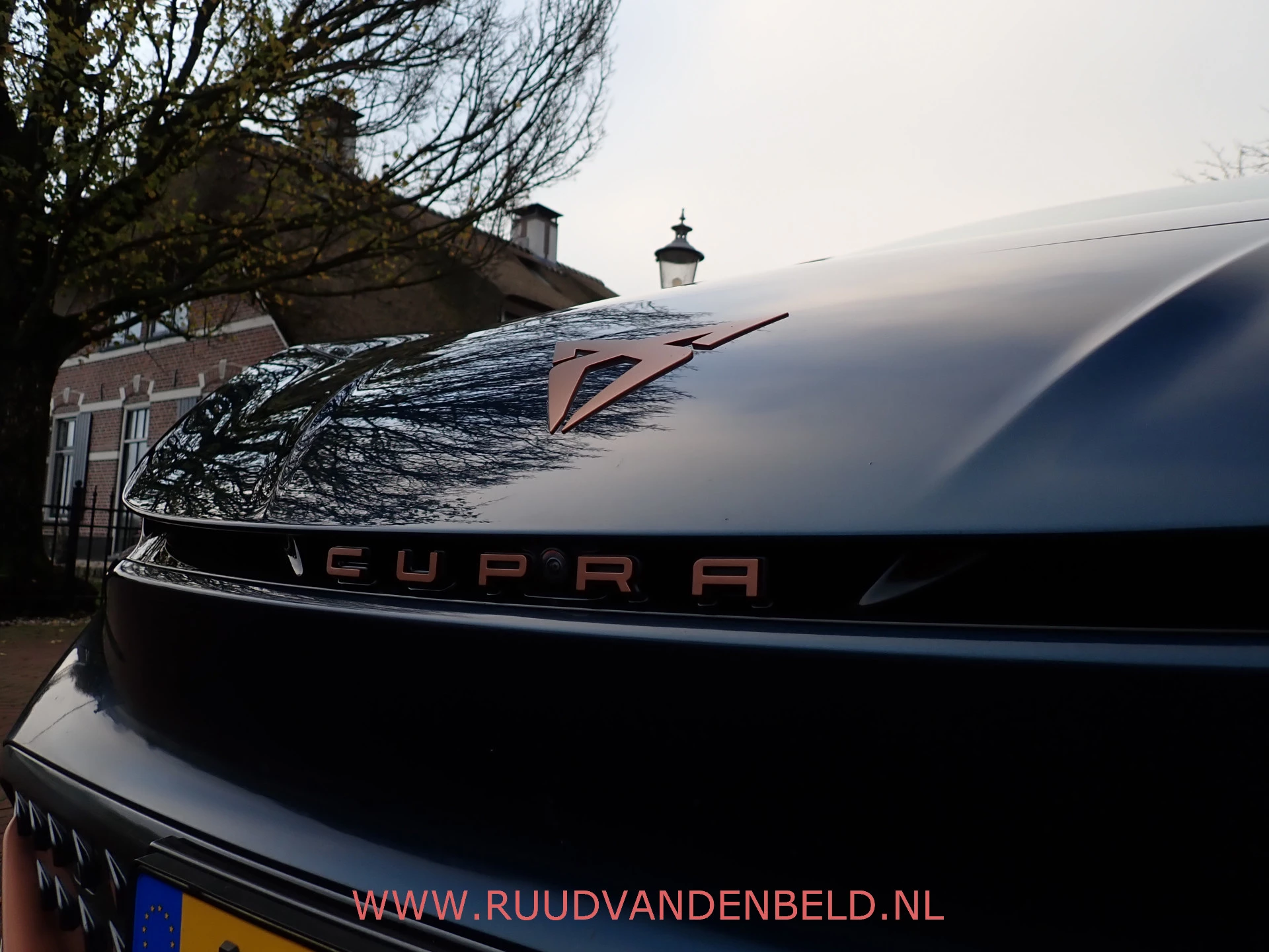 Hoofdafbeelding CUPRA Born