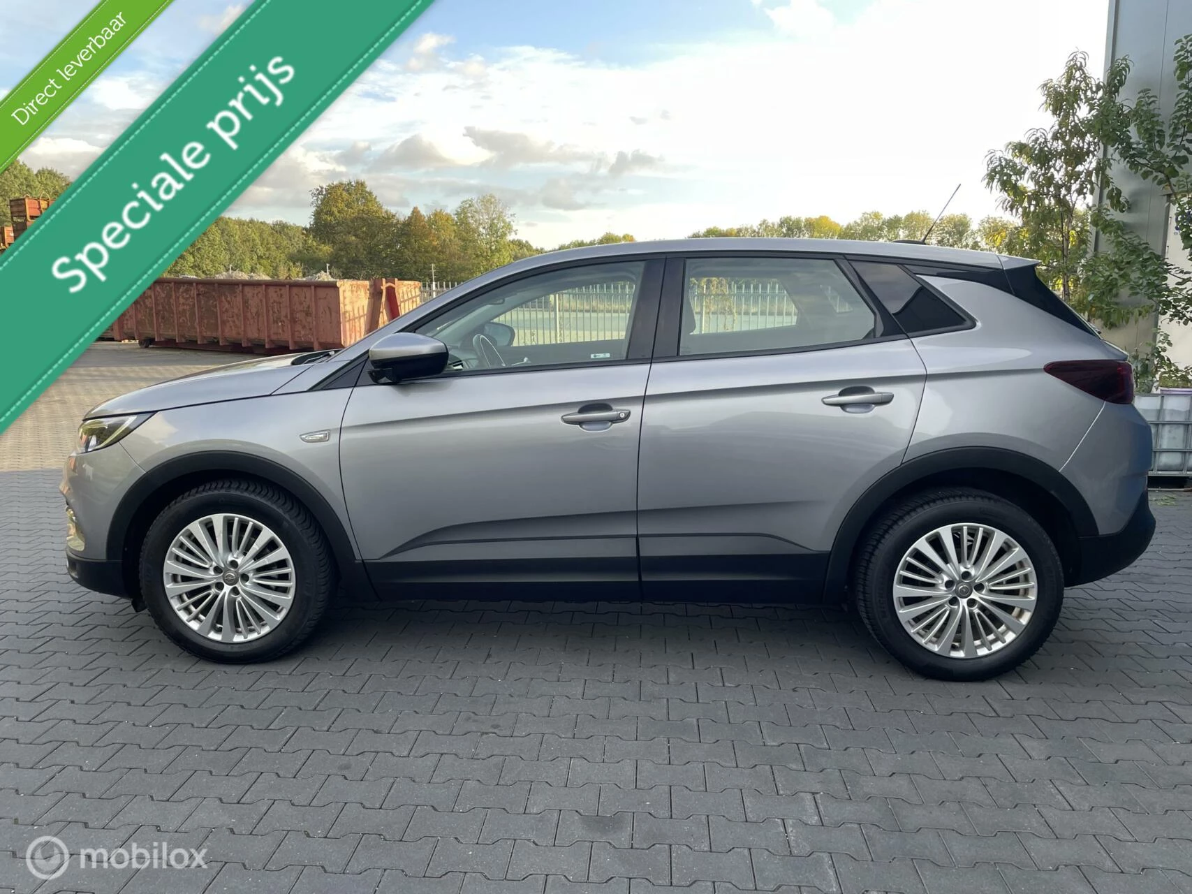 Hoofdafbeelding Opel Grandland X