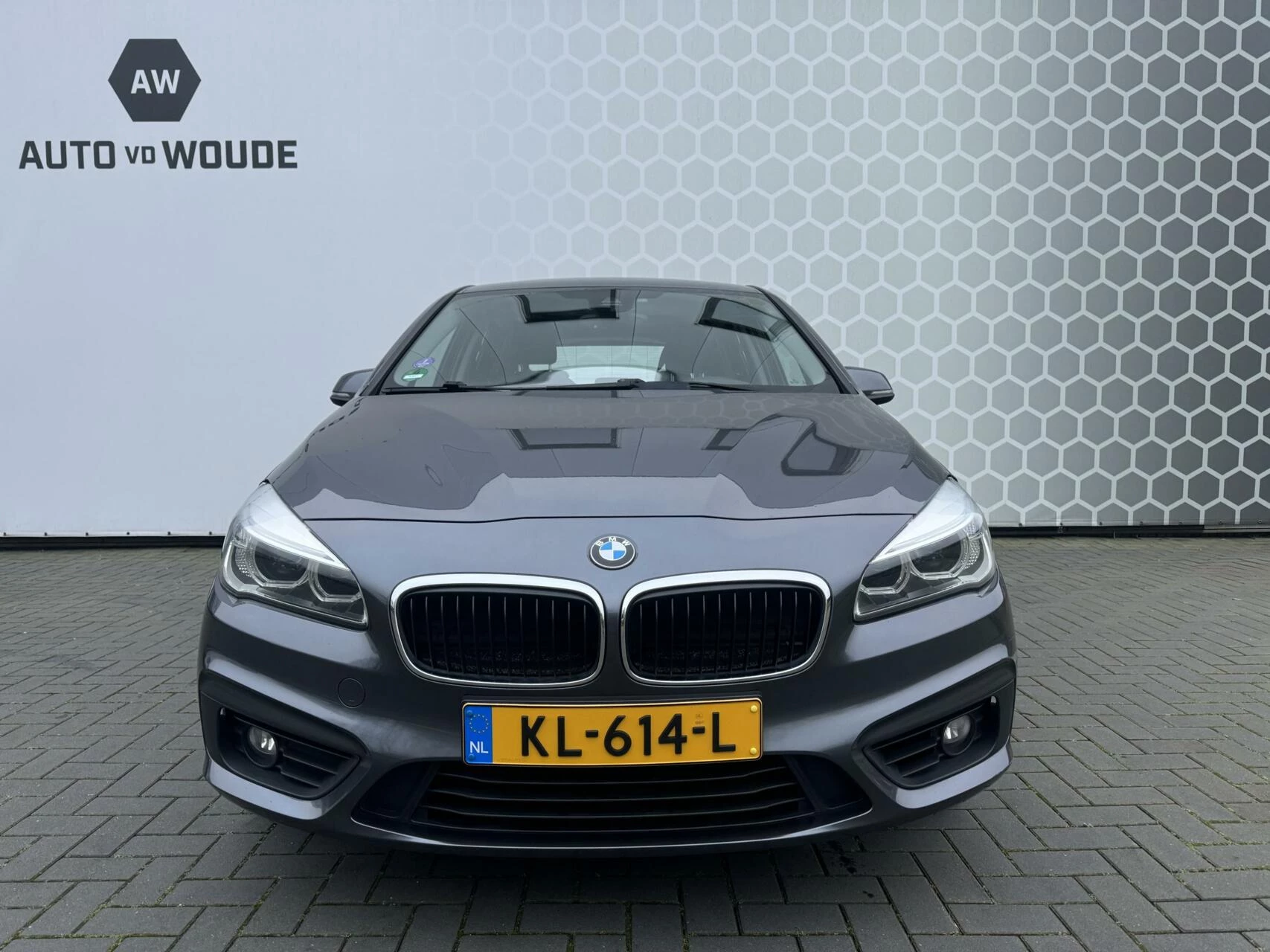 Hoofdafbeelding BMW 2 Serie