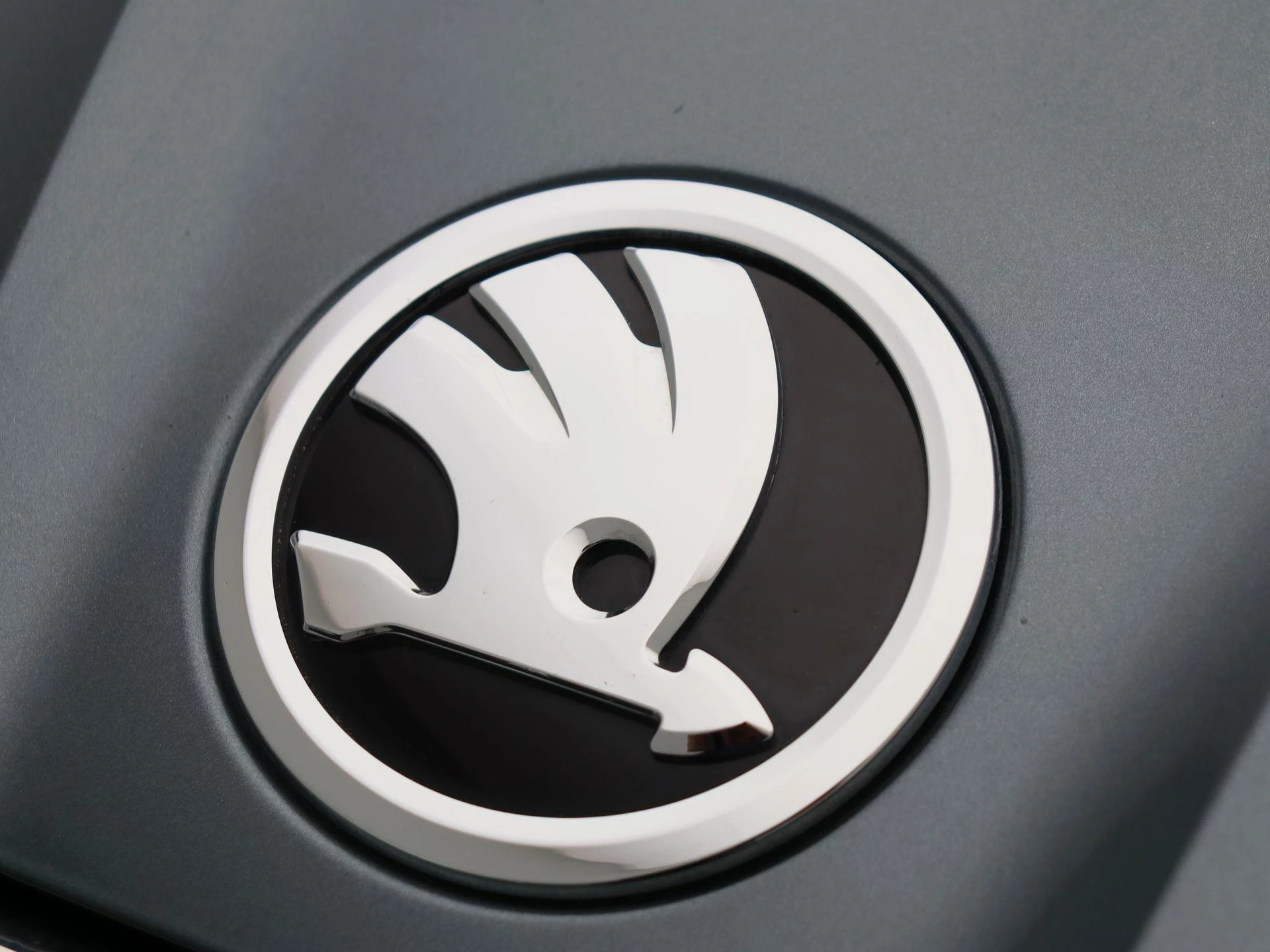 Hoofdafbeelding Škoda Enyaq iV
