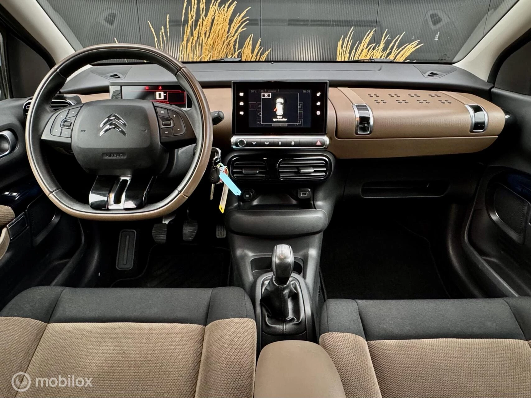 Hoofdafbeelding Citroën C4 Cactus