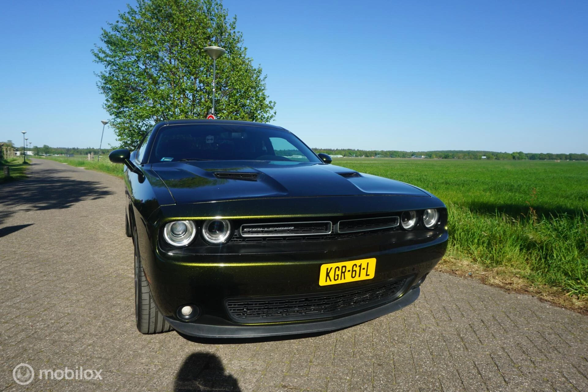 Hoofdafbeelding Dodge Challenger