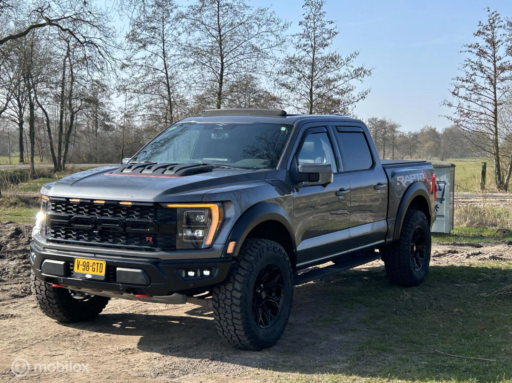 Hoofdafbeelding Ford F-150