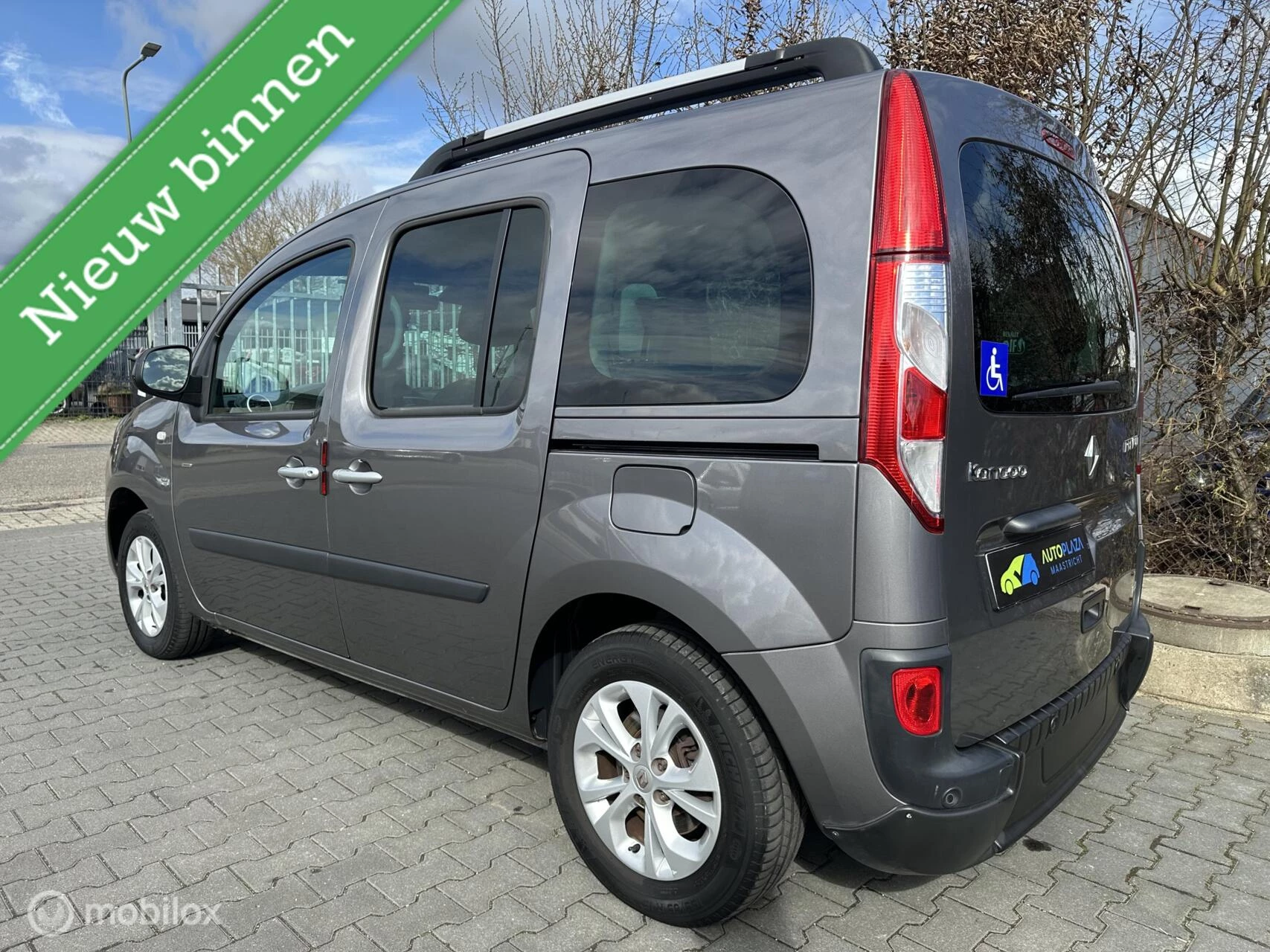 Hoofdafbeelding Renault Kangoo
