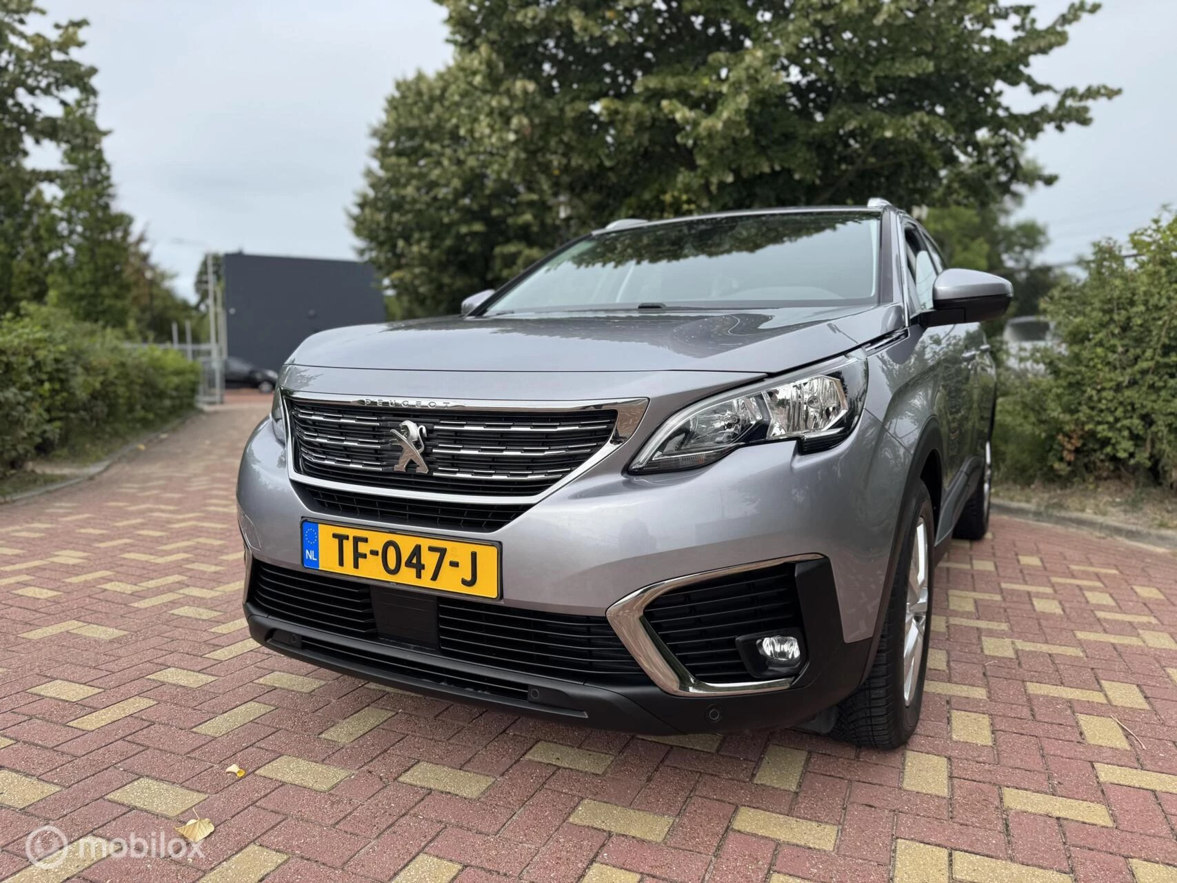 Hoofdafbeelding Peugeot 5008