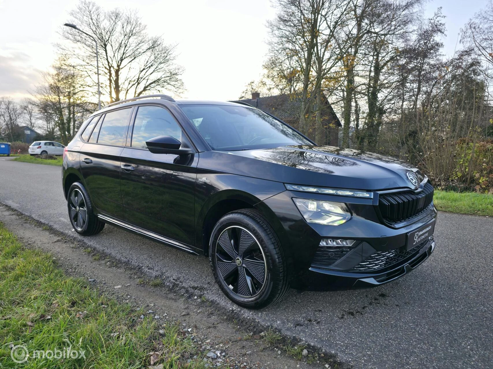 Hoofdafbeelding Škoda Kamiq