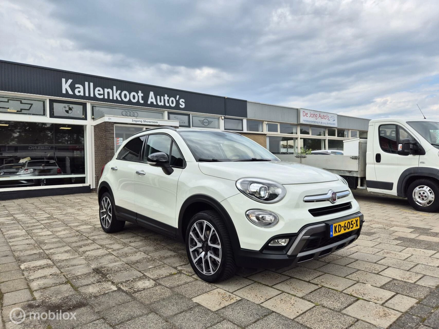 Hoofdafbeelding Fiat 500X