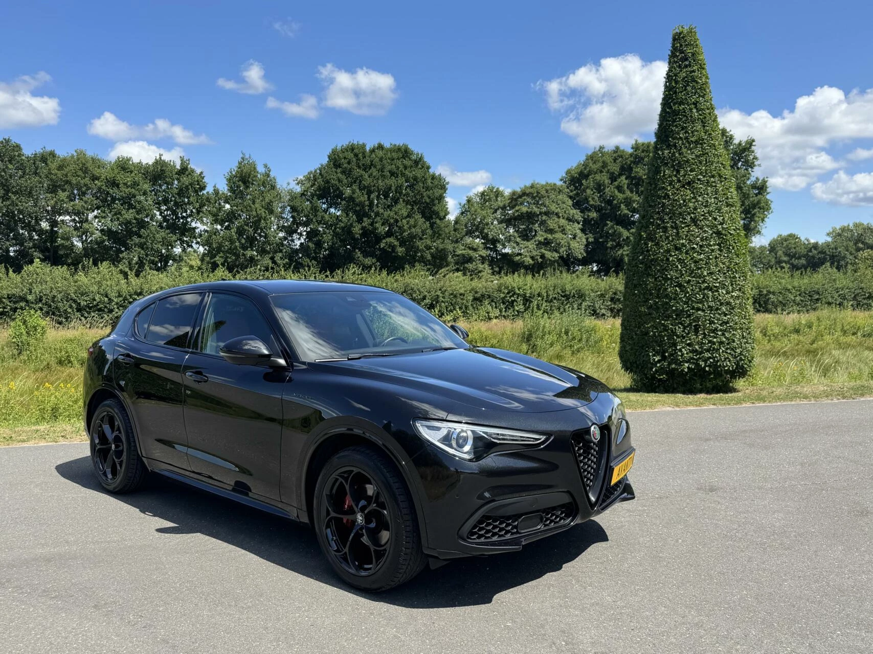 Hoofdafbeelding Alfa Romeo Stelvio
