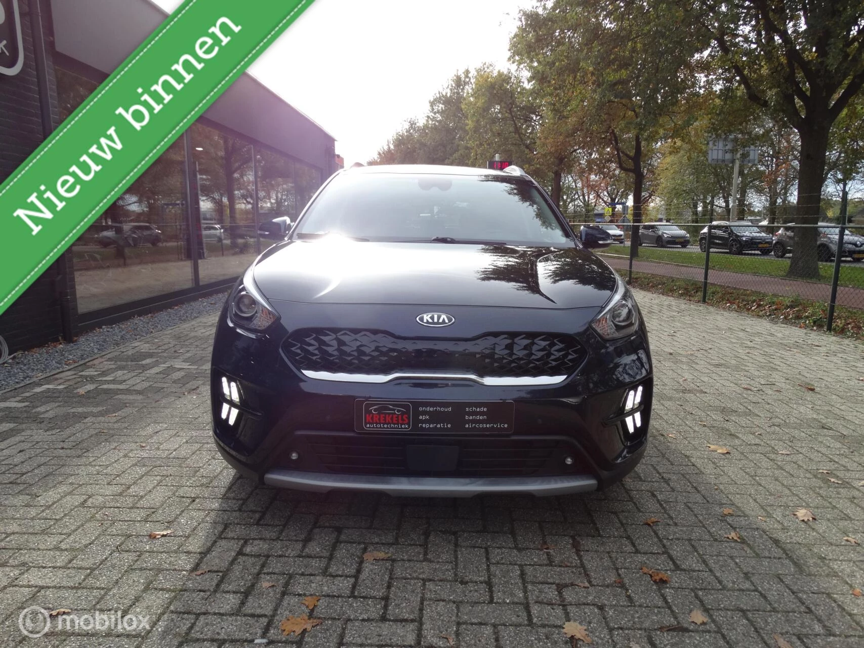 Hoofdafbeelding Kia Niro