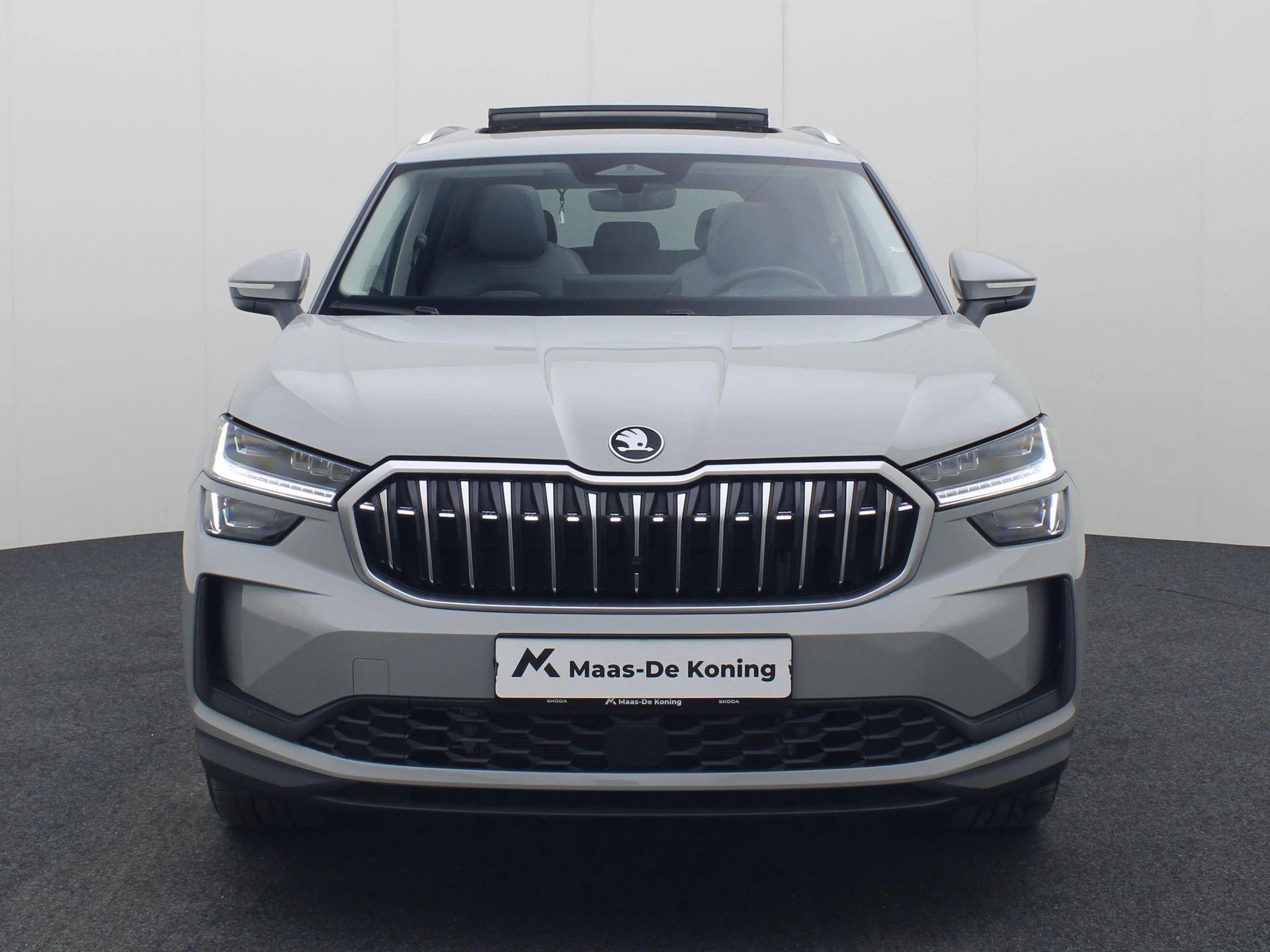 Hoofdafbeelding Škoda Kodiaq