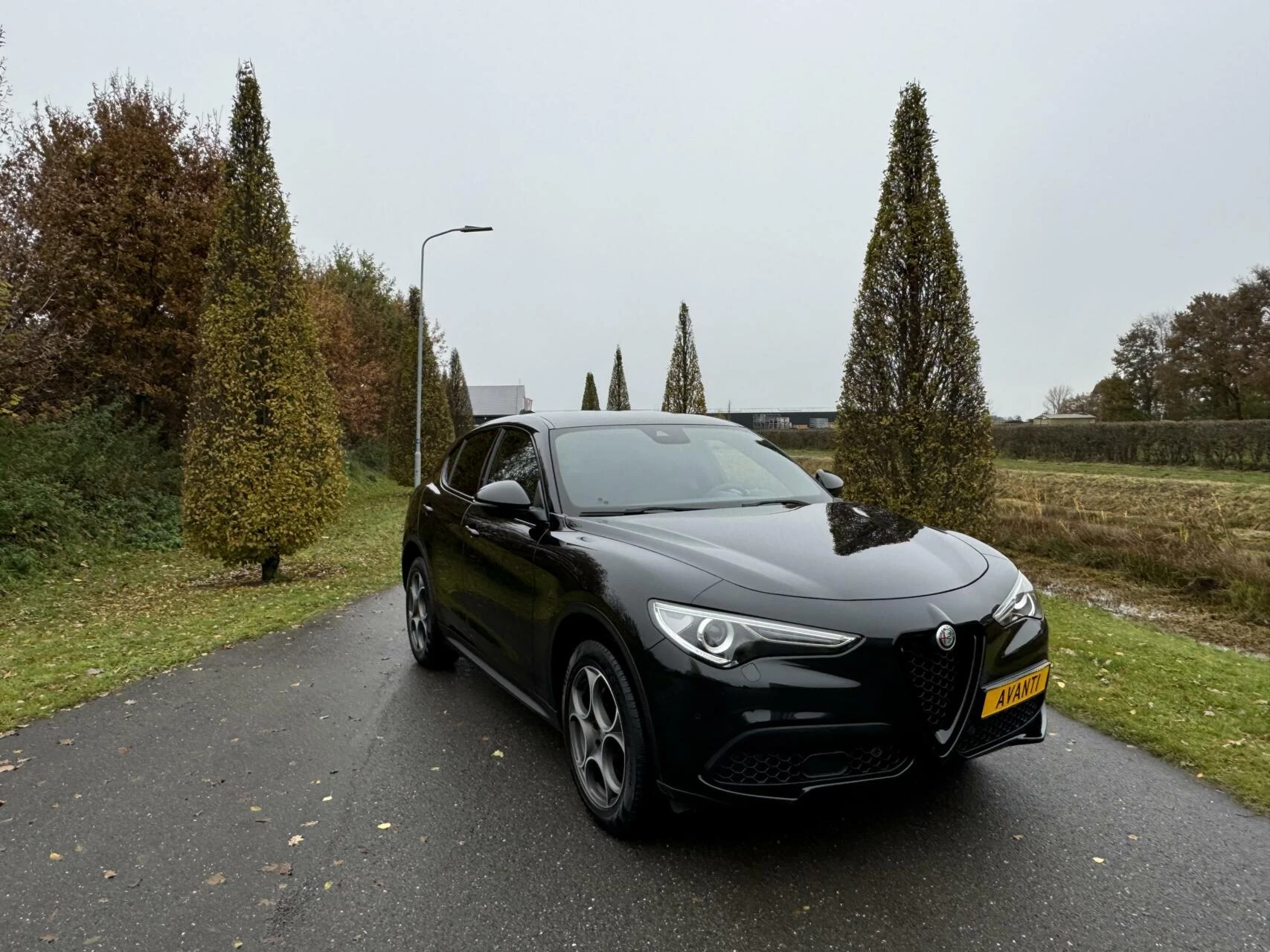 Hoofdafbeelding Alfa Romeo Stelvio