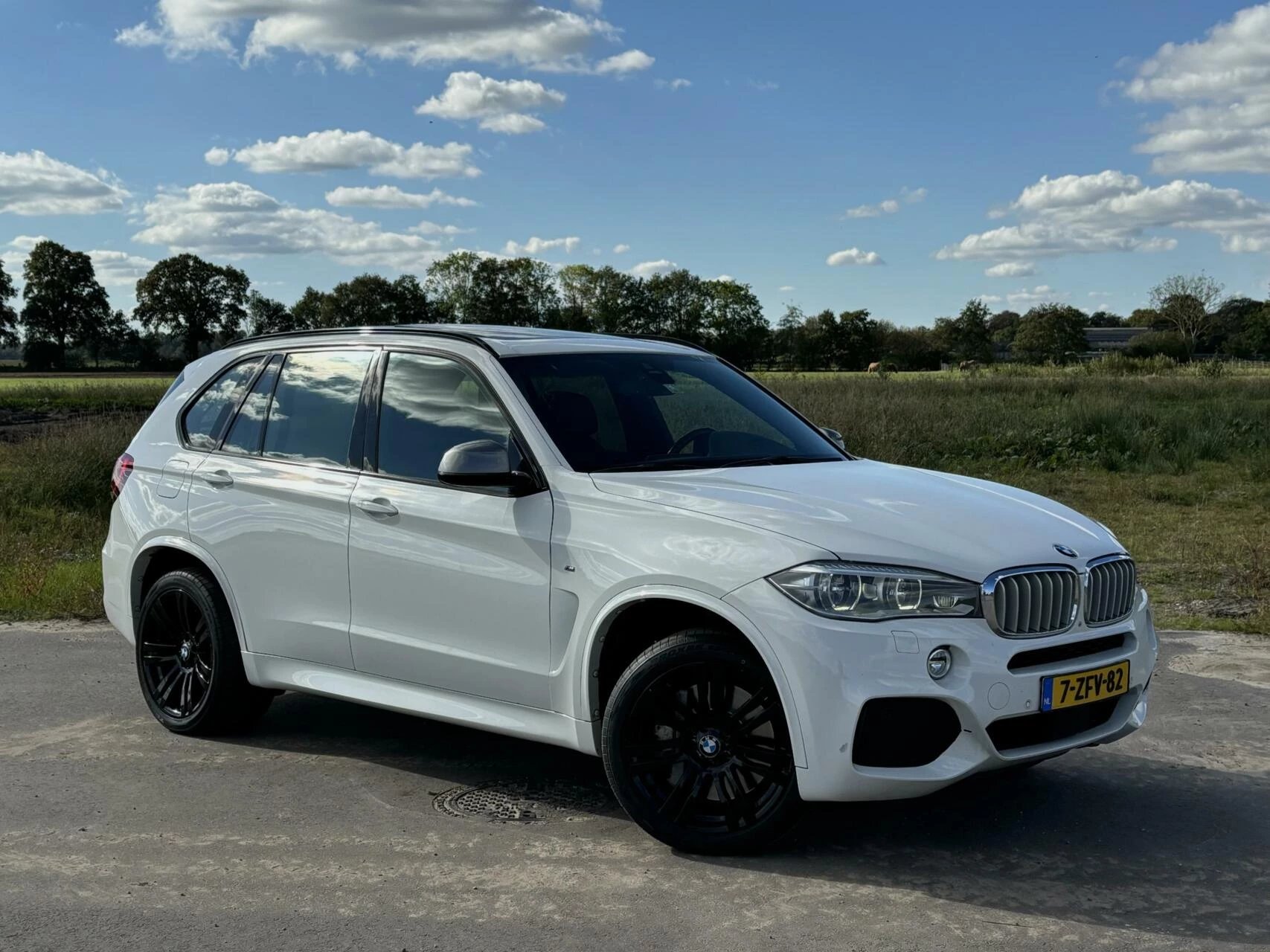 Hoofdafbeelding BMW X5