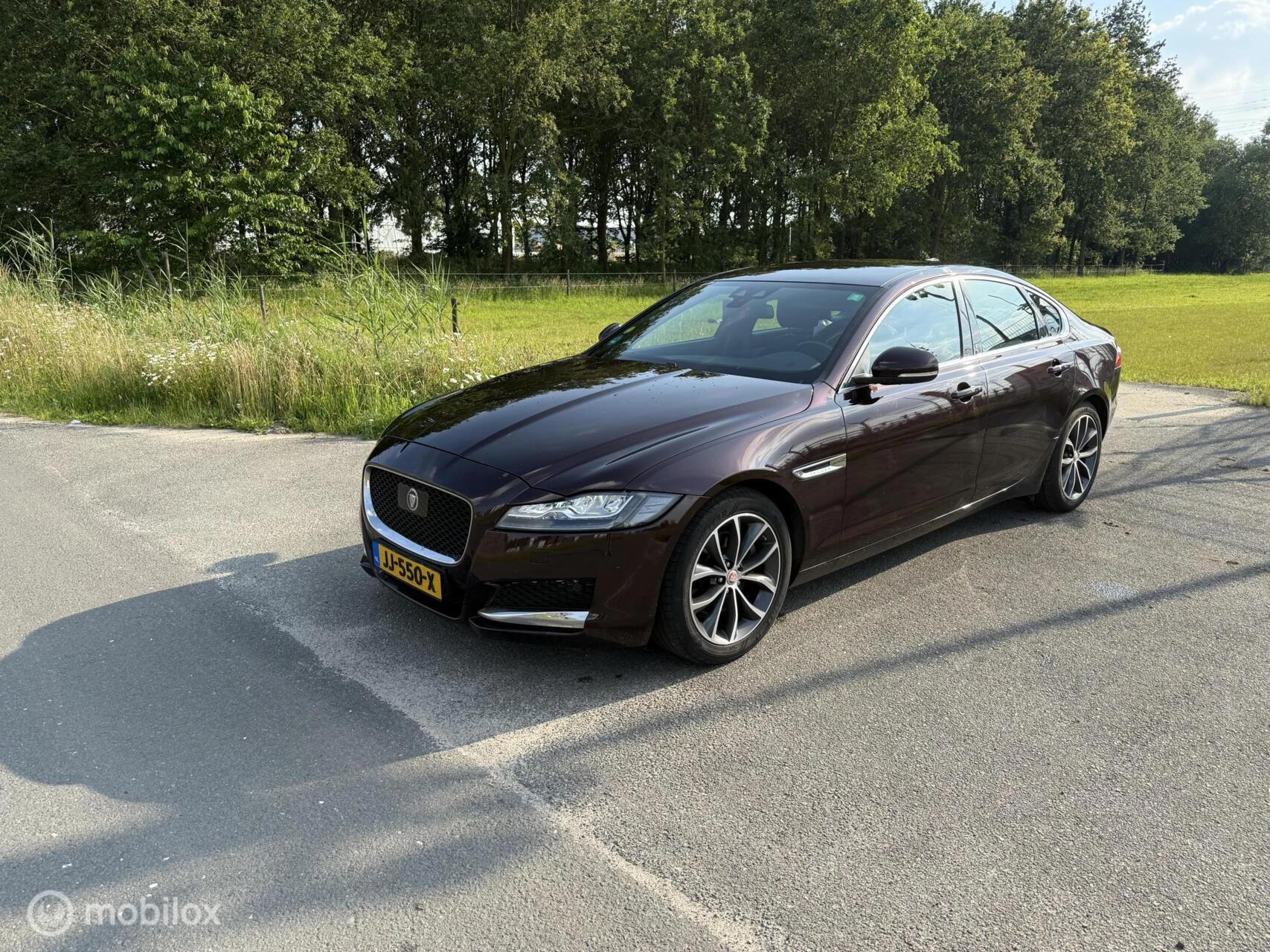 Hoofdafbeelding Jaguar XF
