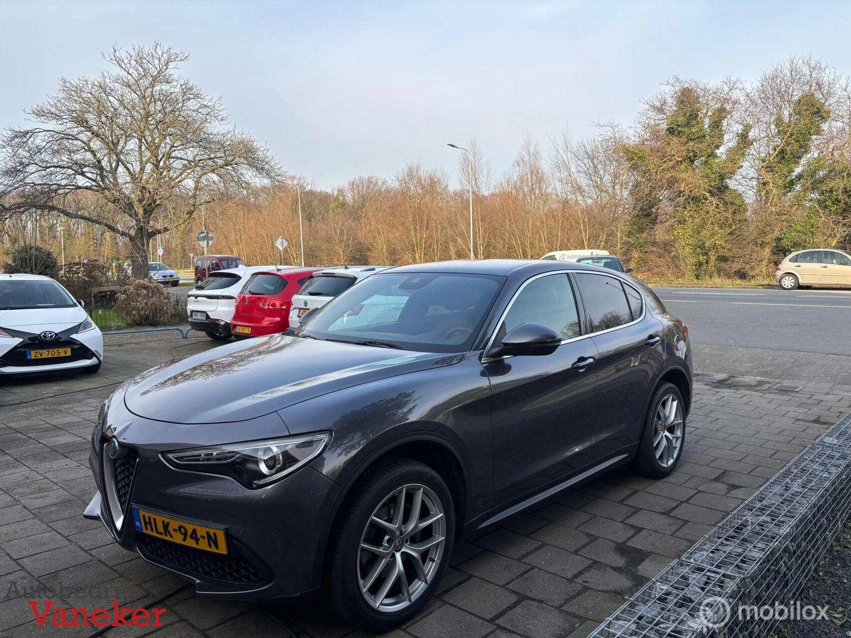 Hoofdafbeelding Alfa Romeo Stelvio