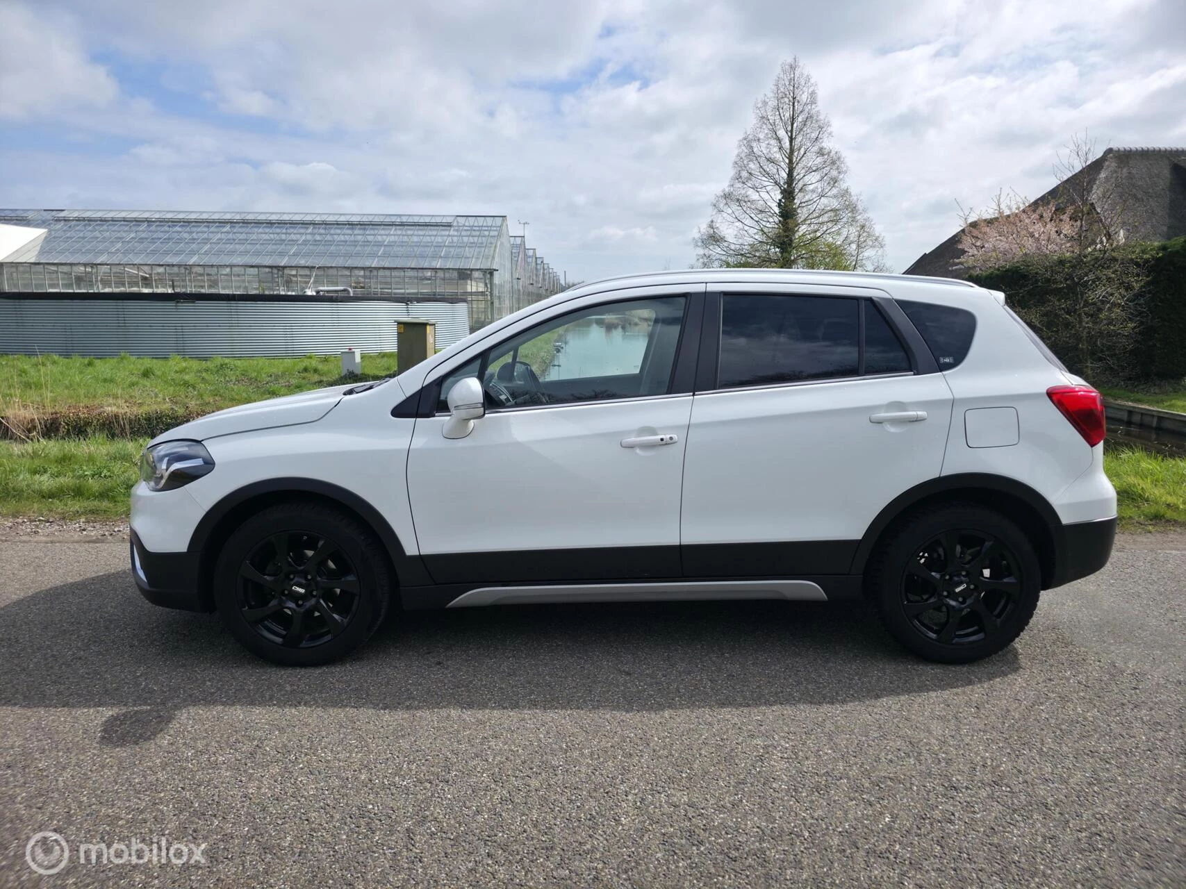 Hoofdafbeelding Suzuki S-Cross