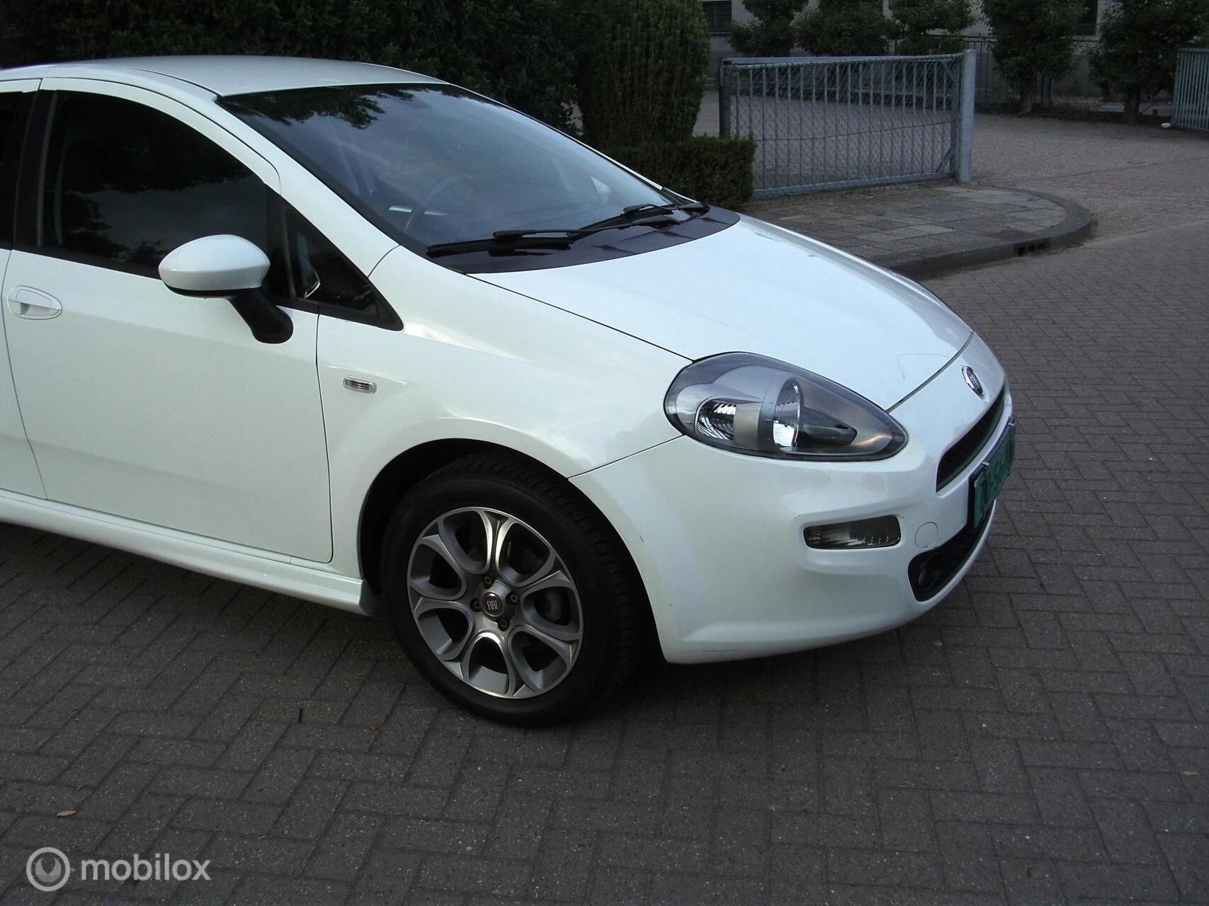 Hoofdafbeelding Fiat Punto