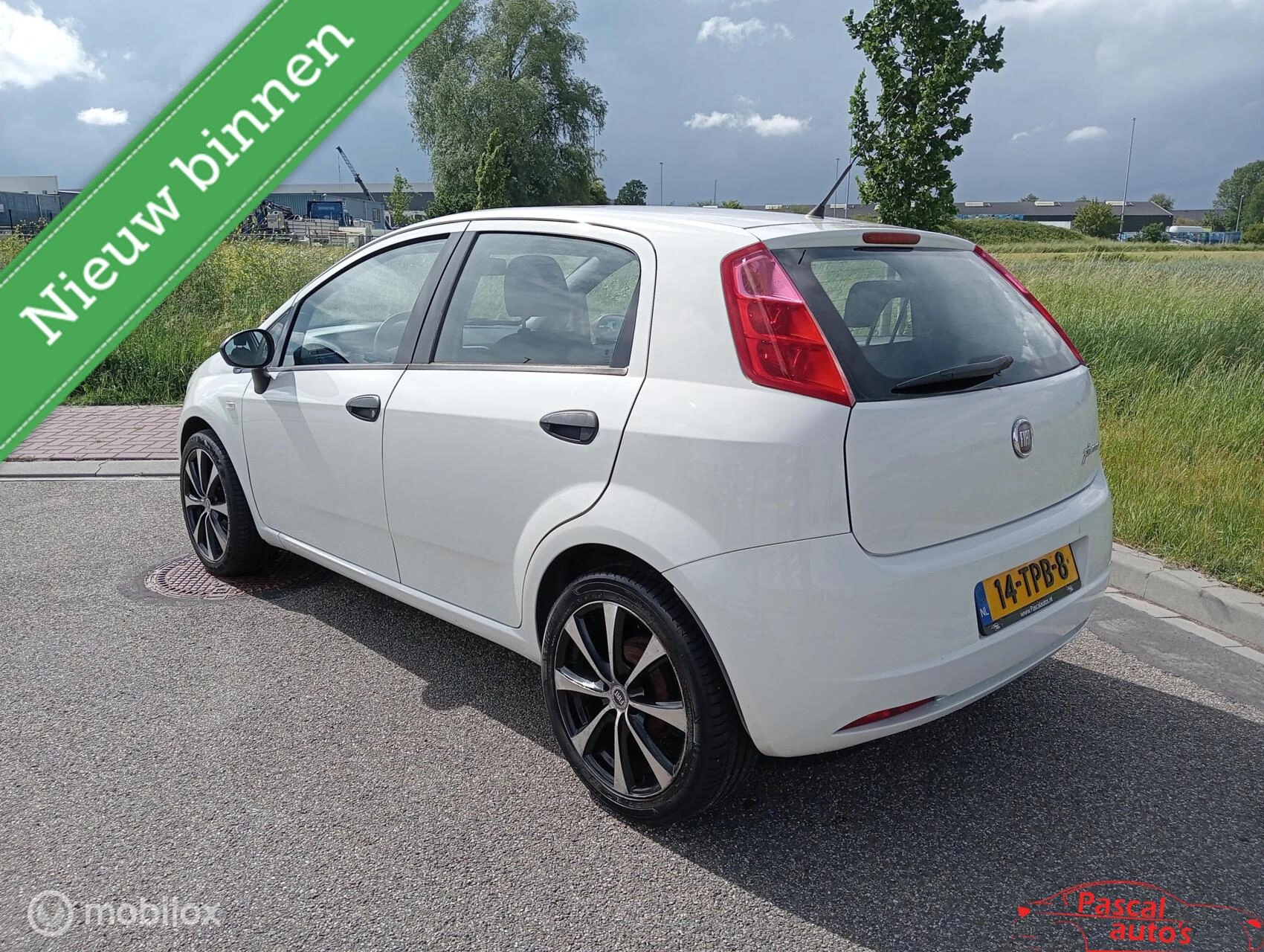 Hoofdafbeelding Fiat Punto