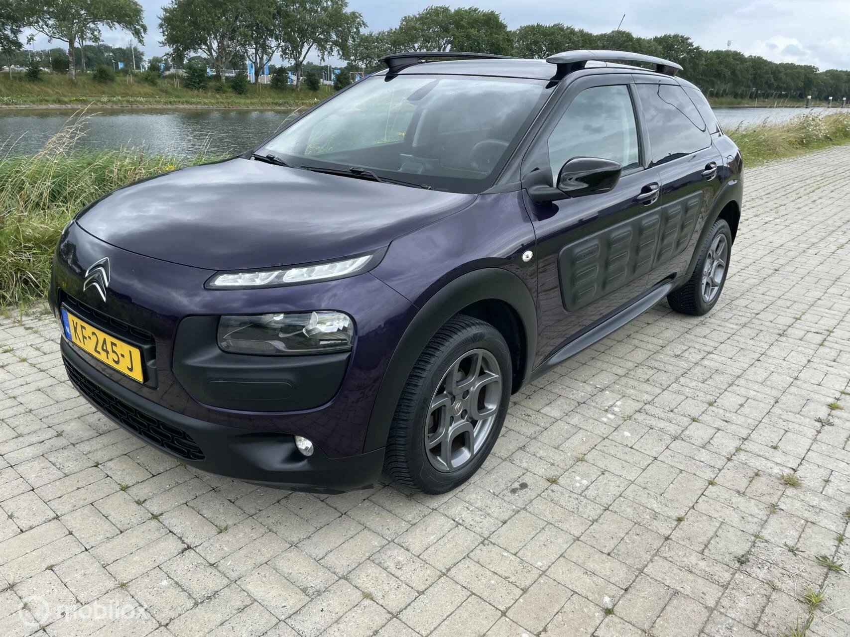 Hoofdafbeelding Citroën C4 Cactus