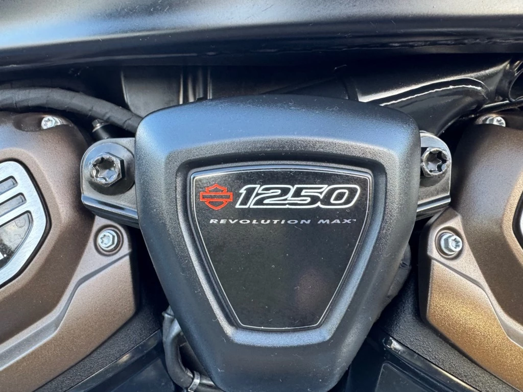 Hoofdafbeelding Harley-Davidson Sportster