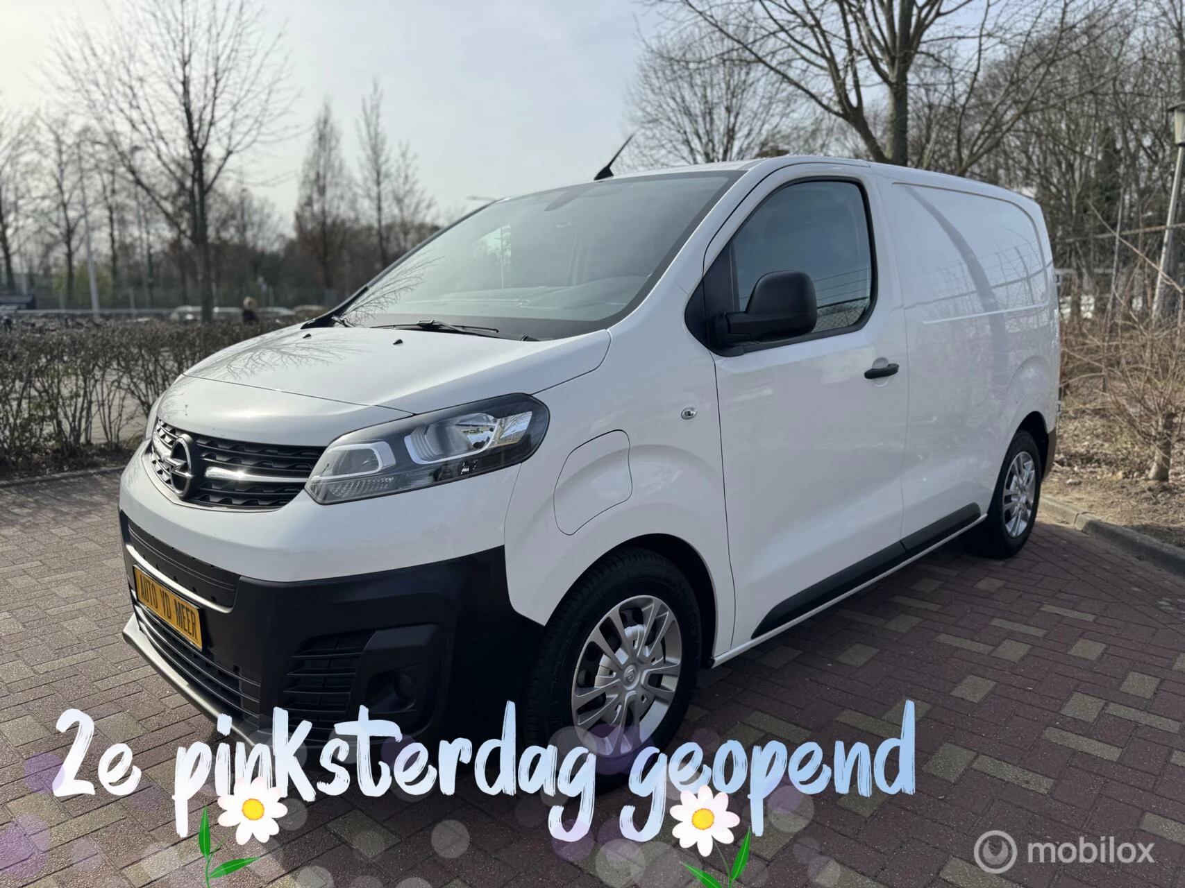 Hoofdafbeelding Opel Vivaro-e
