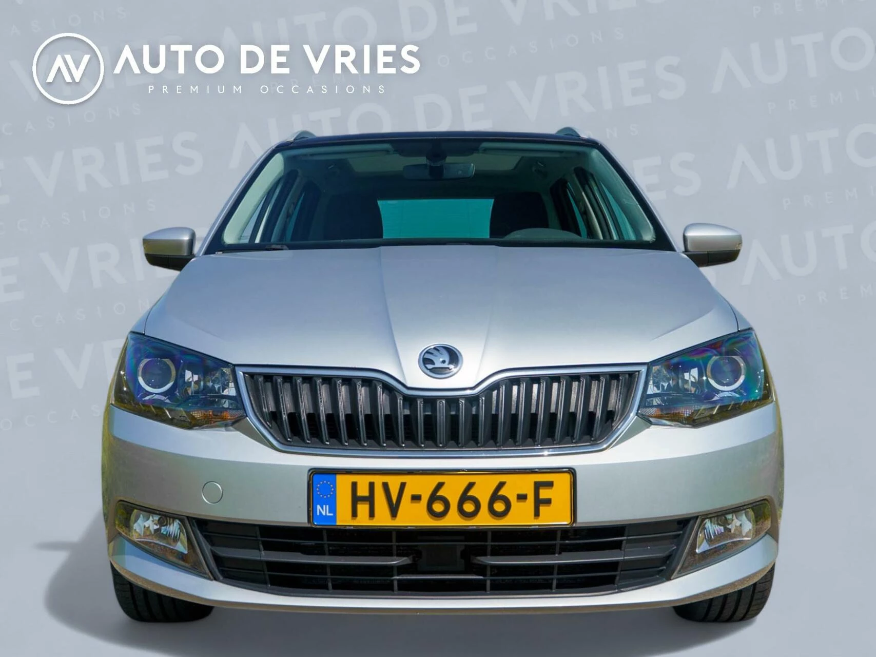 Hoofdafbeelding Škoda Fabia