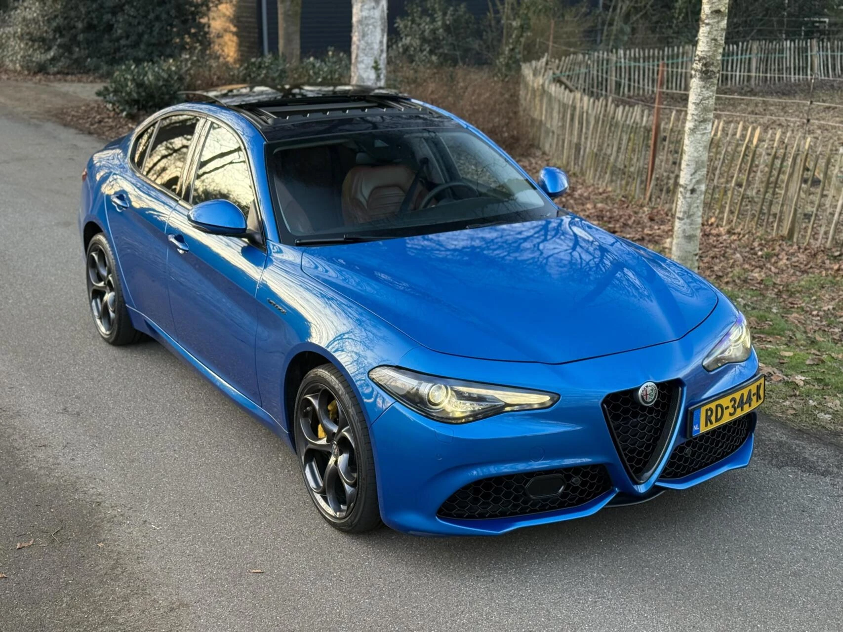 Hoofdafbeelding Alfa Romeo Giulia