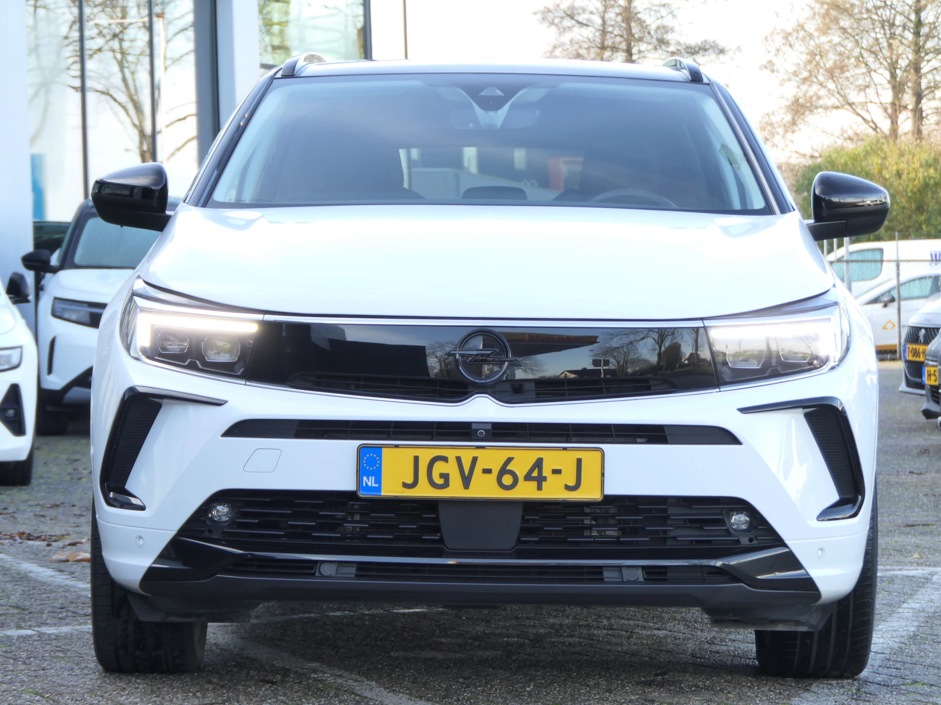 Hoofdafbeelding Opel Grandland