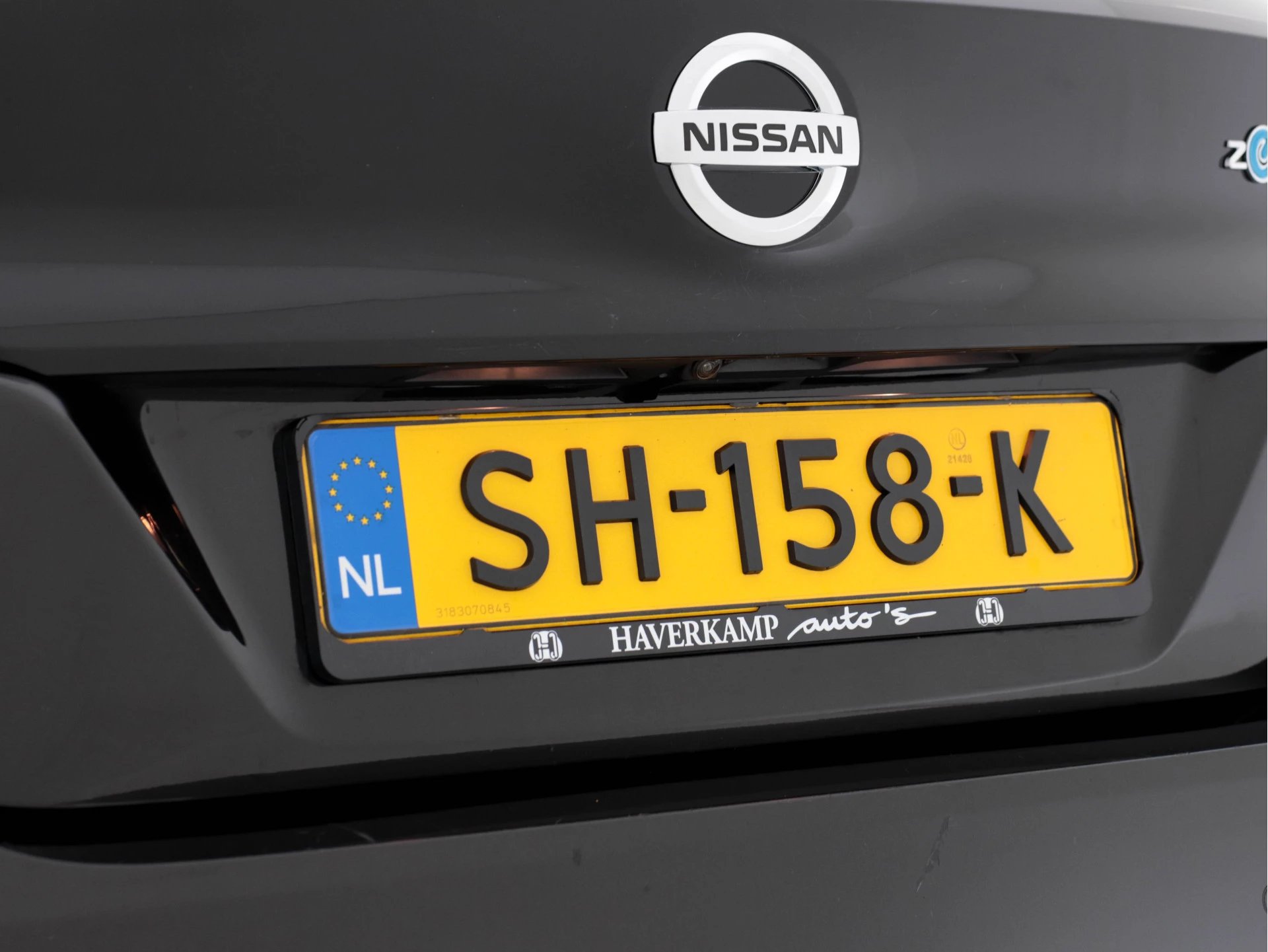 Hoofdafbeelding Nissan Leaf