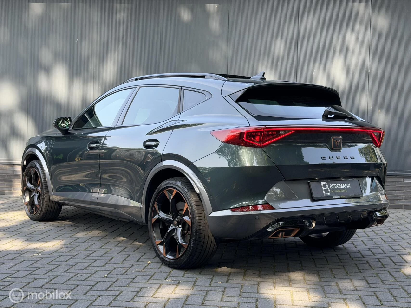 Hoofdafbeelding CUPRA Formentor