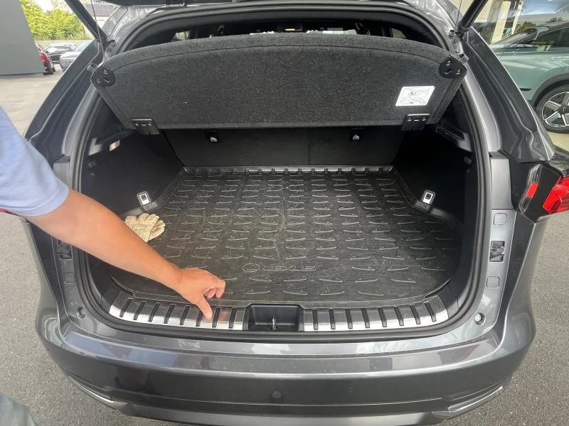 Hoofdafbeelding Lexus NX