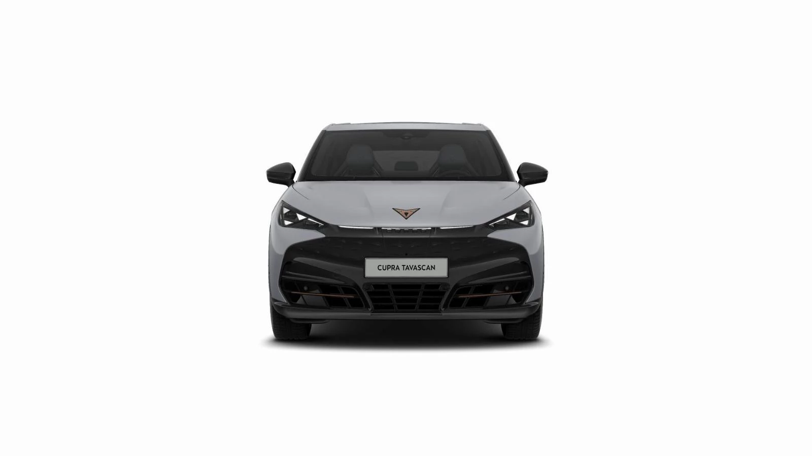 Hoofdafbeelding CUPRA Tavascan