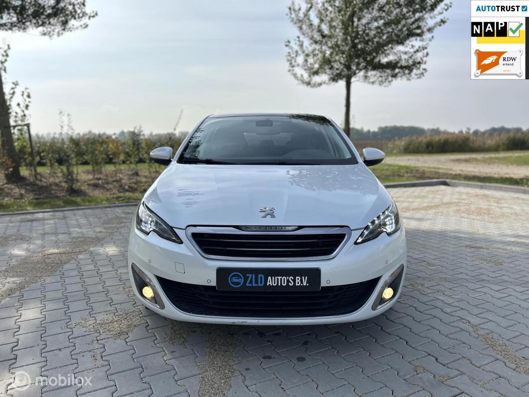 Hoofdafbeelding Peugeot 308