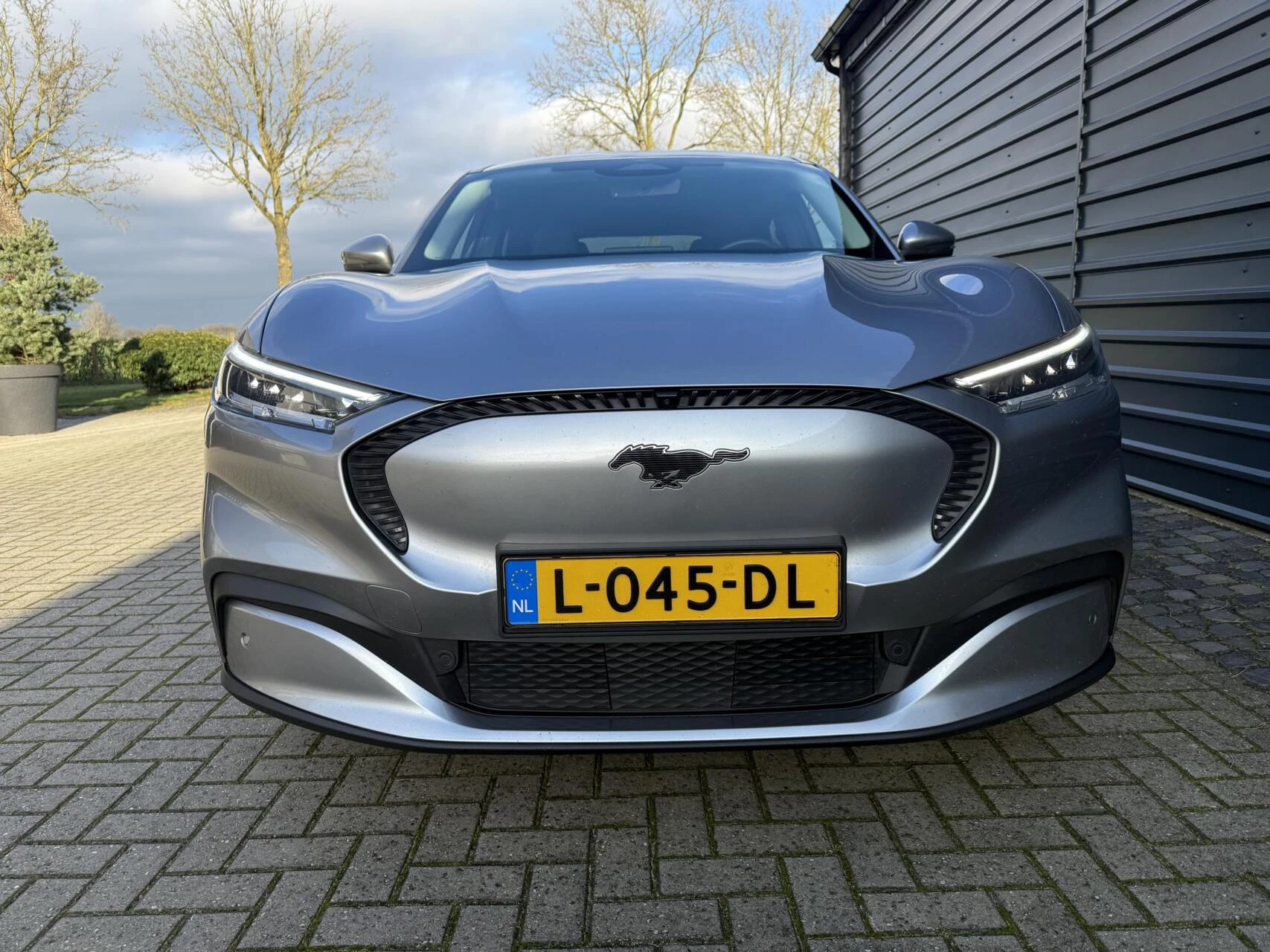 Hoofdafbeelding Ford Mustang Mach-E