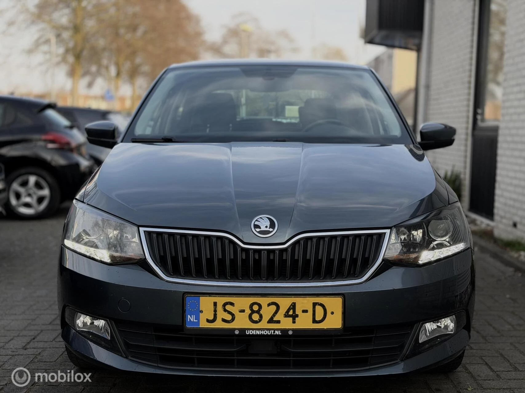 Hoofdafbeelding Škoda Fabia