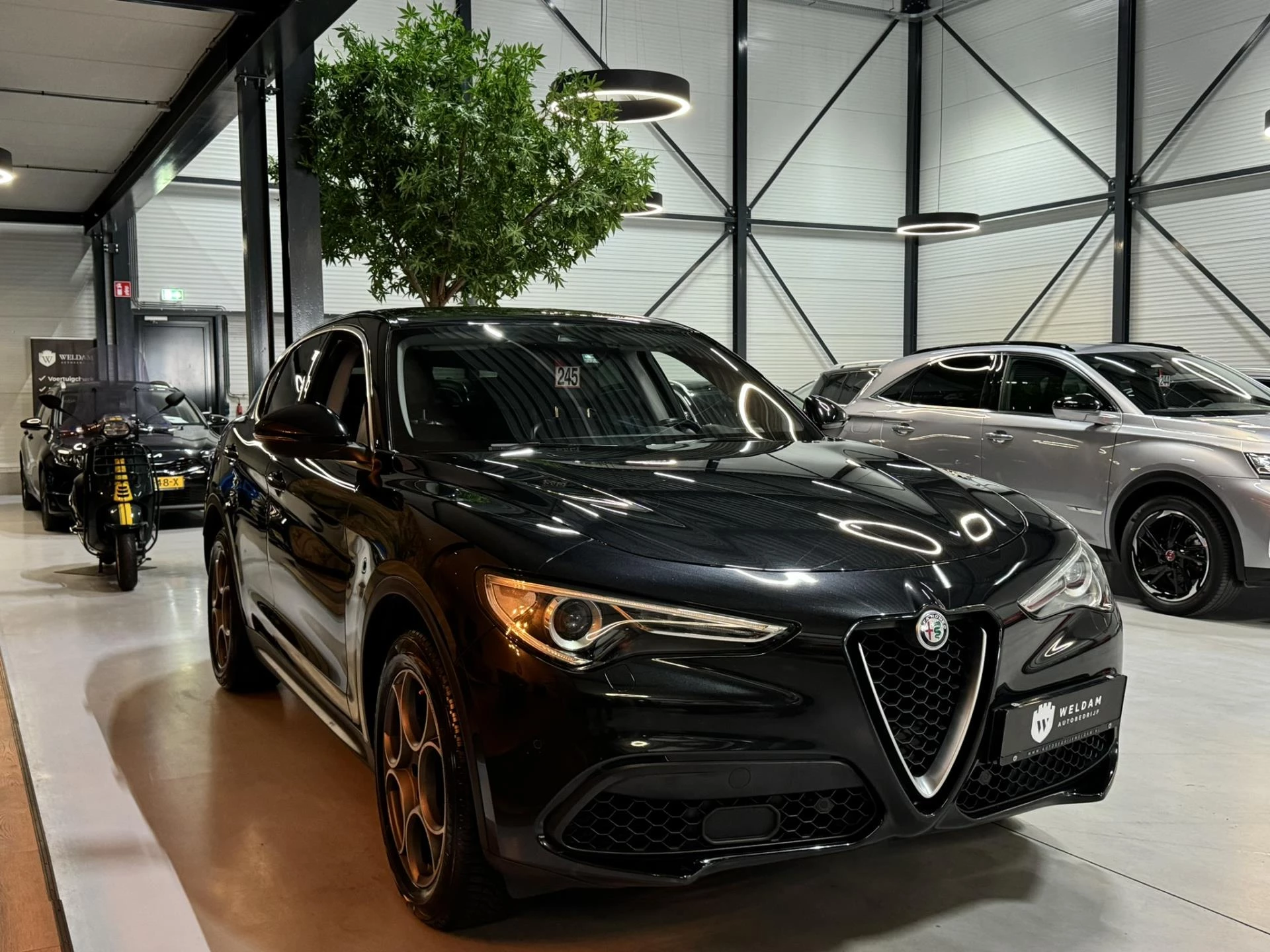 Hoofdafbeelding Alfa Romeo Stelvio